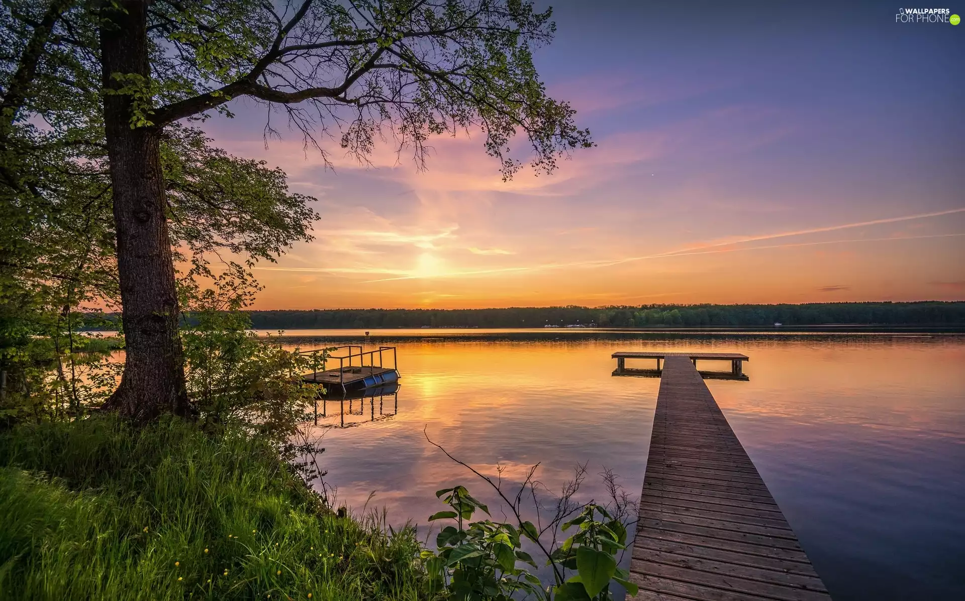 trees, VEGETATION, Platform, Great Sunsets, lake
