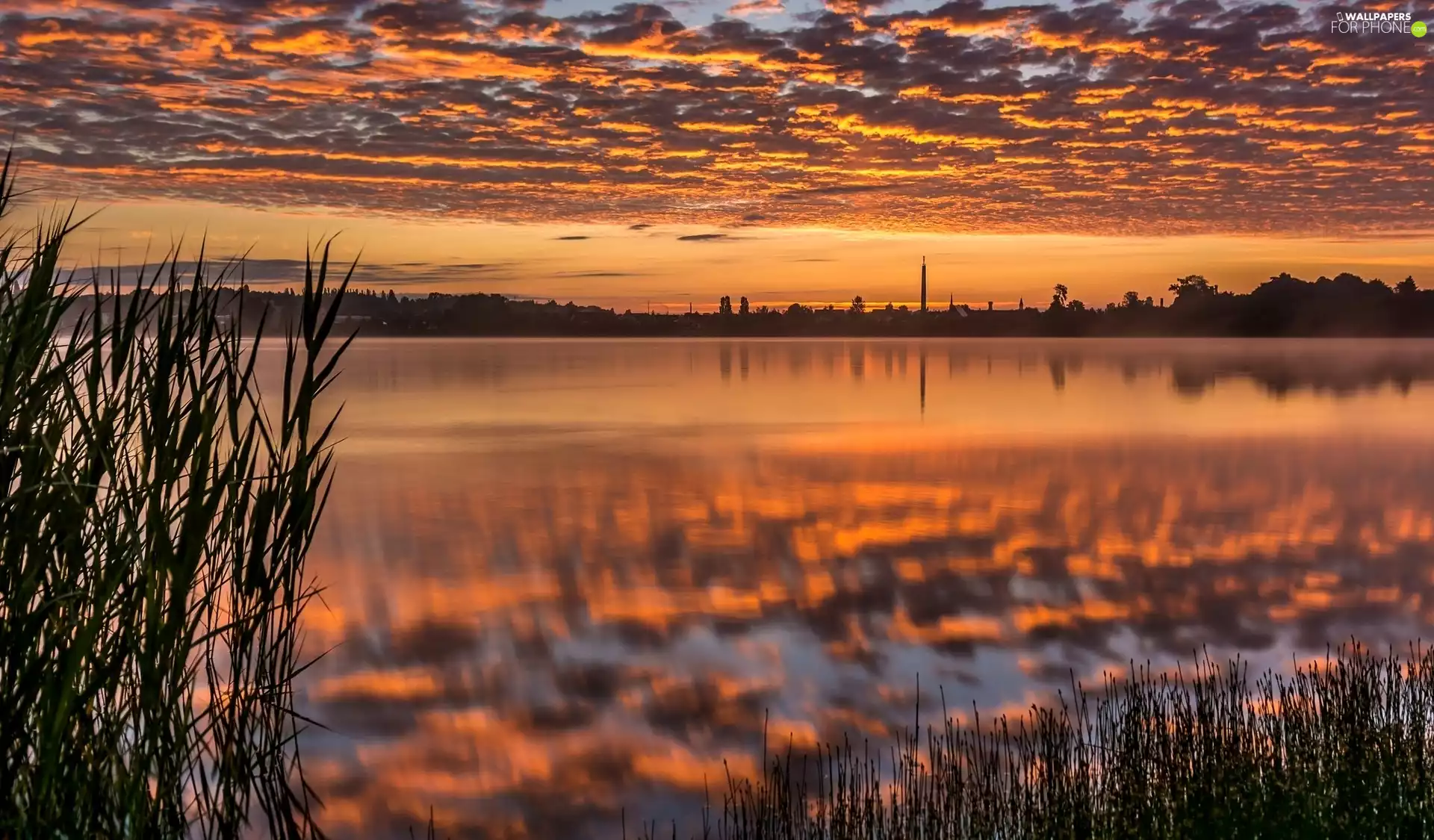 reflection, color, Plants, Great Sunsets, River, Sky