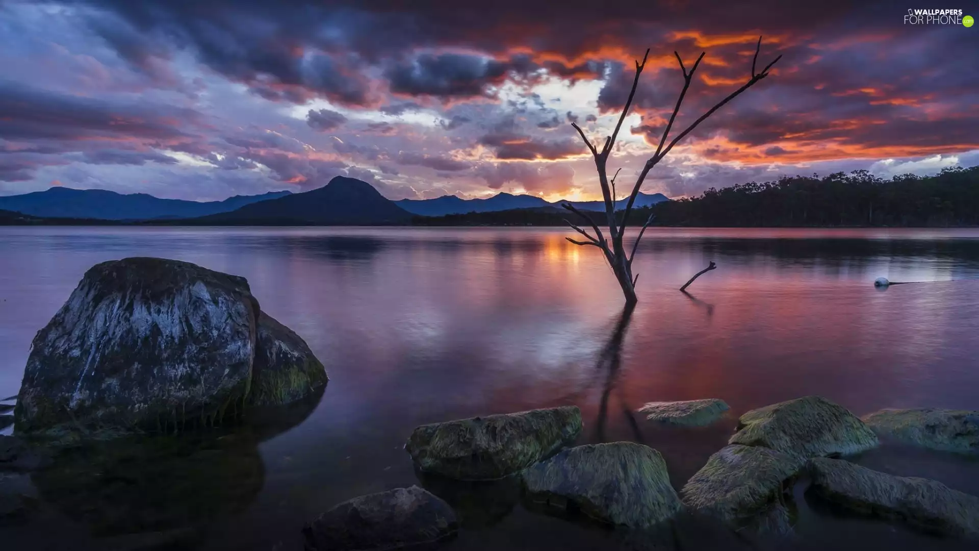 clouds, trees, Stones, Great Sunsets, River