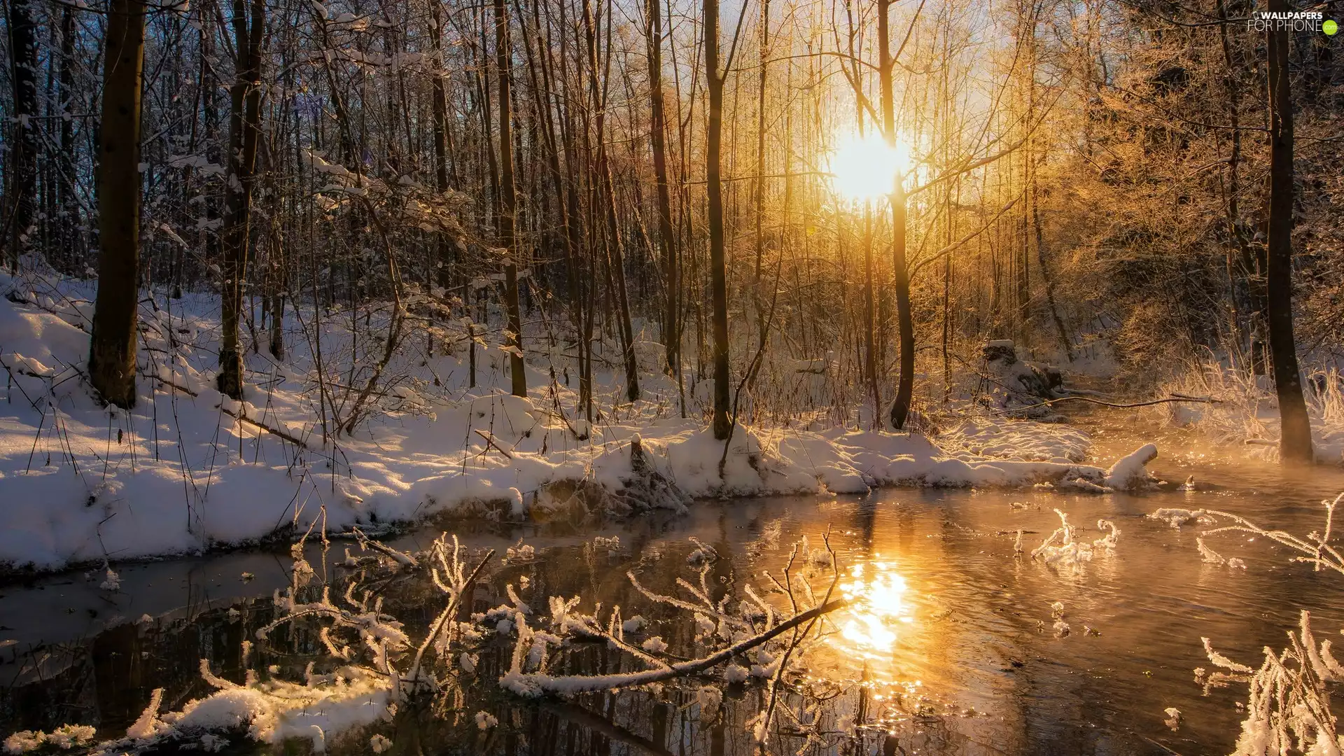 trees, winter, River, Great Sunsets, viewes, forest