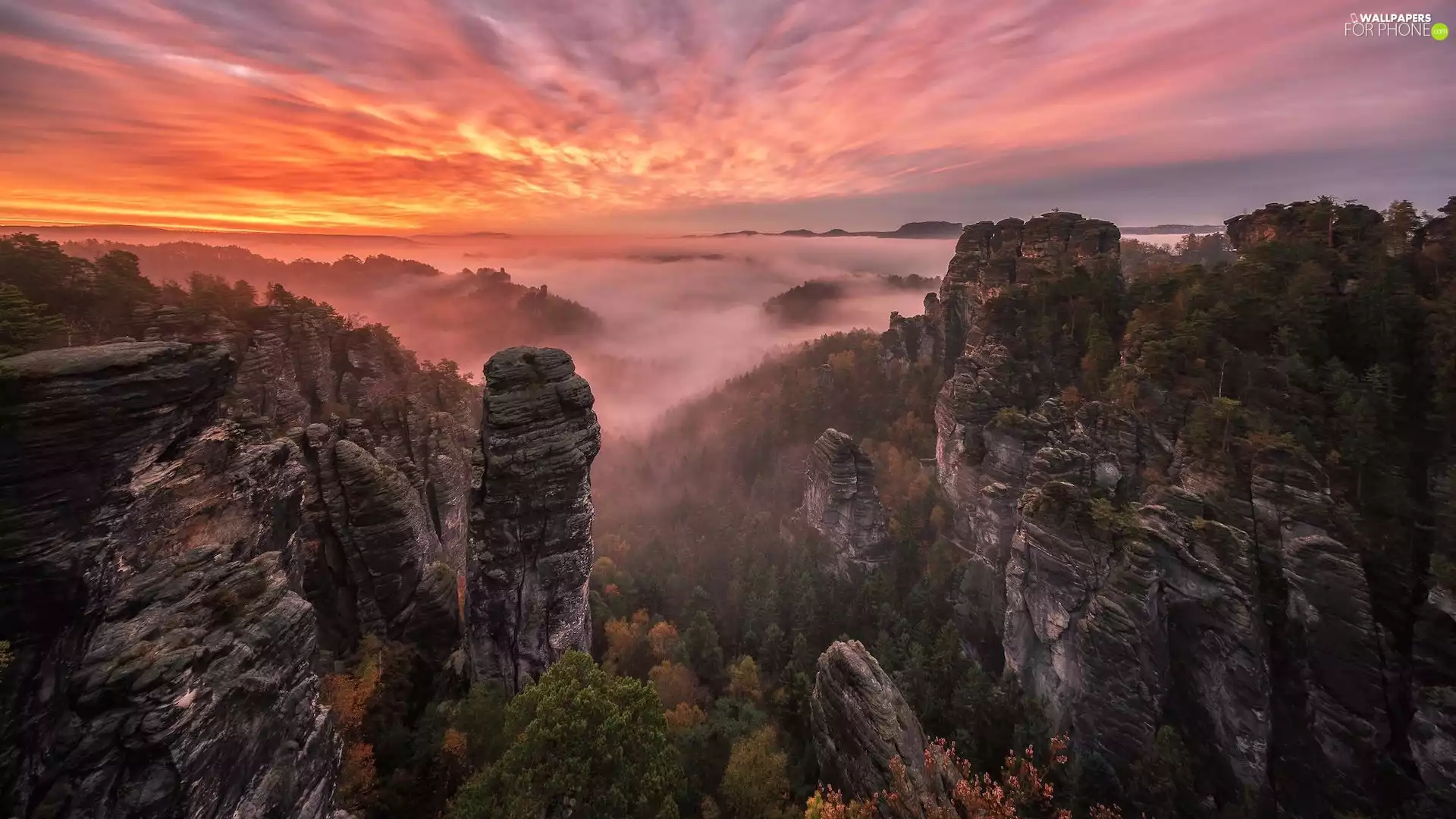 trees, viewes, Germany, Great Sunsets, Saxon Switzerland National Park, rocks, Děčínská vrchovina, Fog