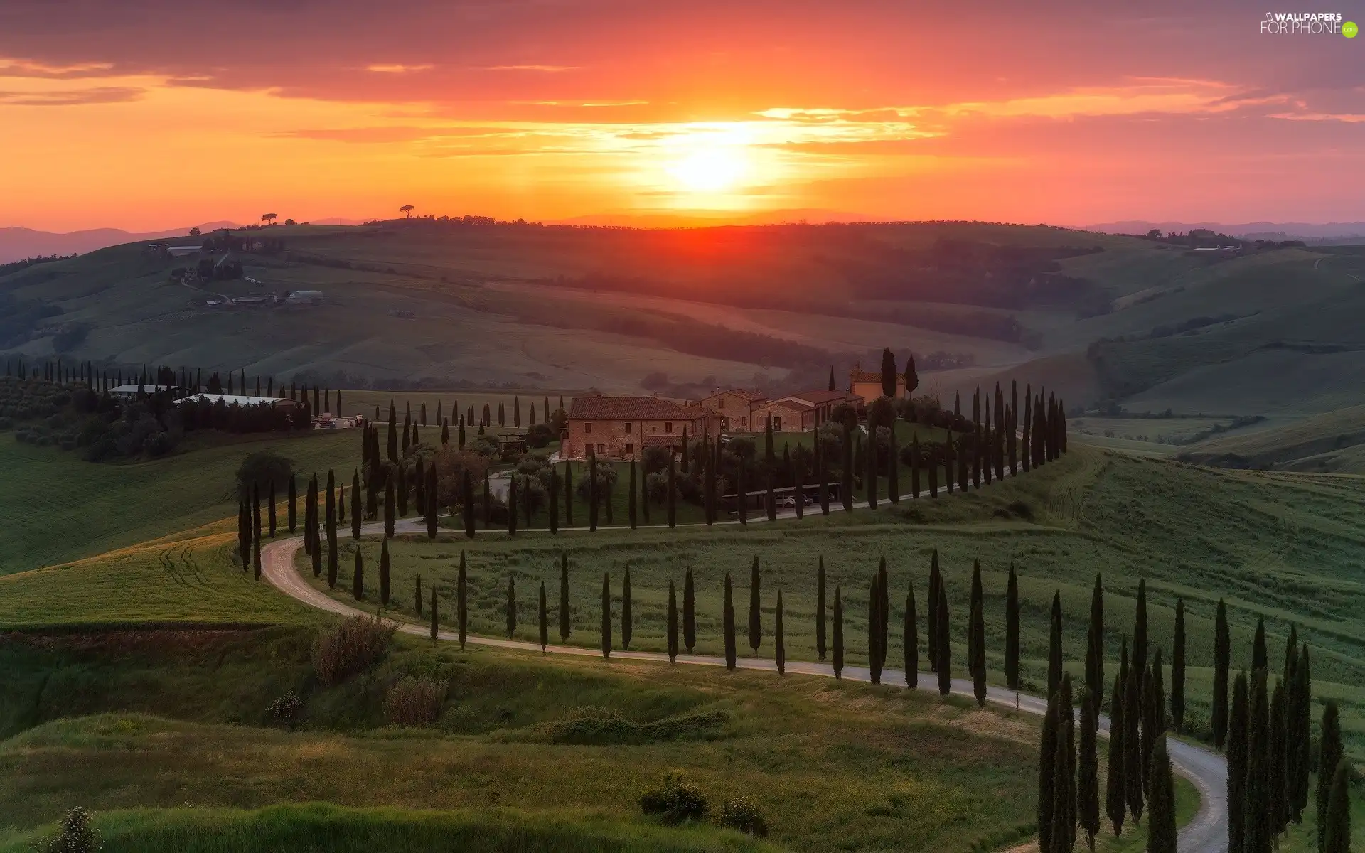 Way, Houses, trees, viewes, Tuscany, Italy, Great Sunsets, The Hills, cypresses