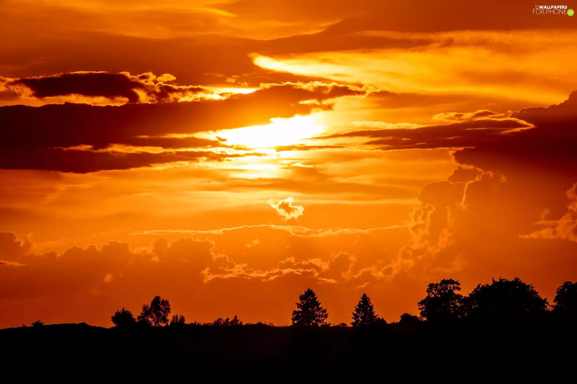 trees, Great Sunsets, clouds, viewes