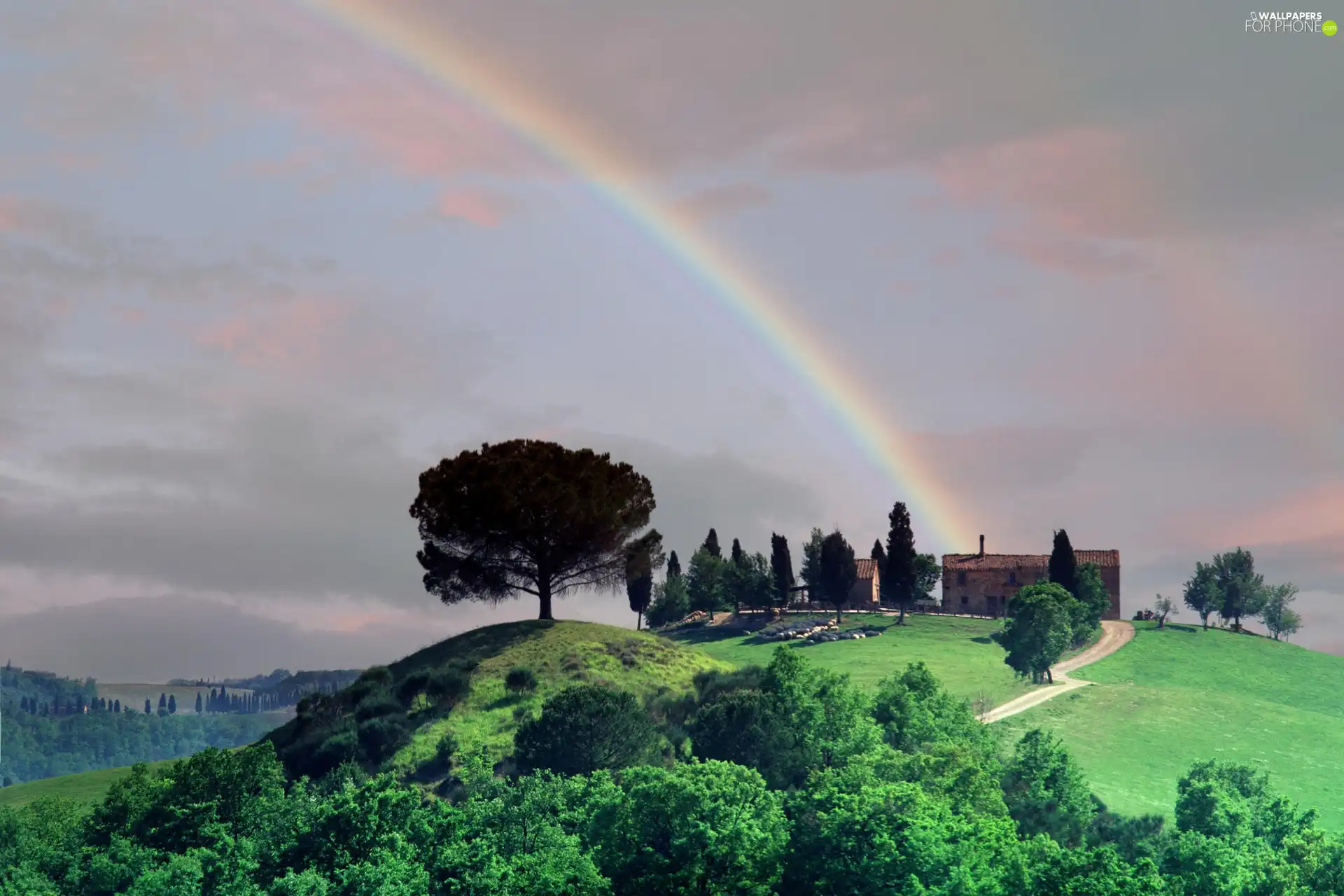 Way, Hill, Great Rainbows
