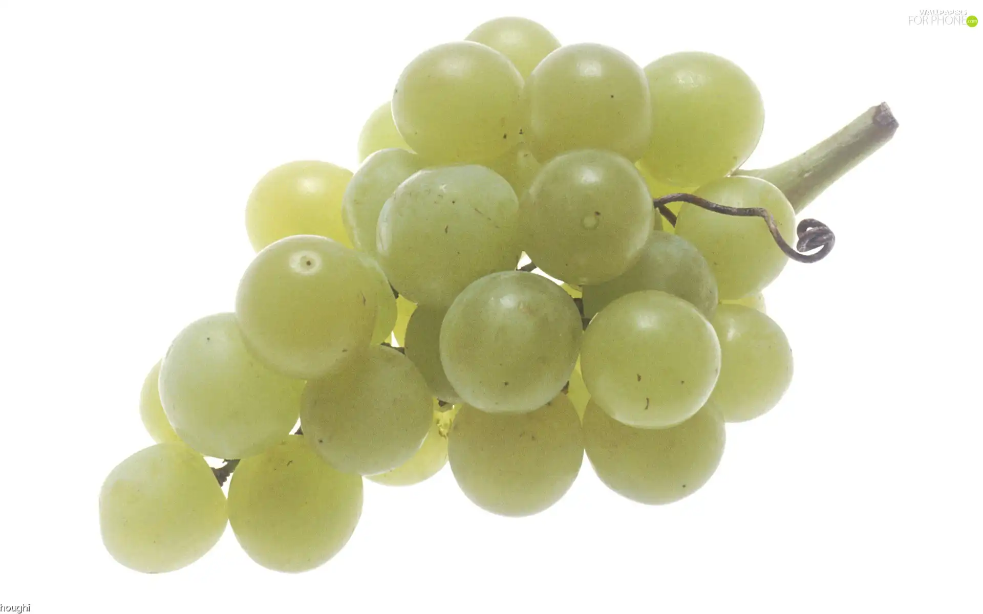 green, spray, grapes