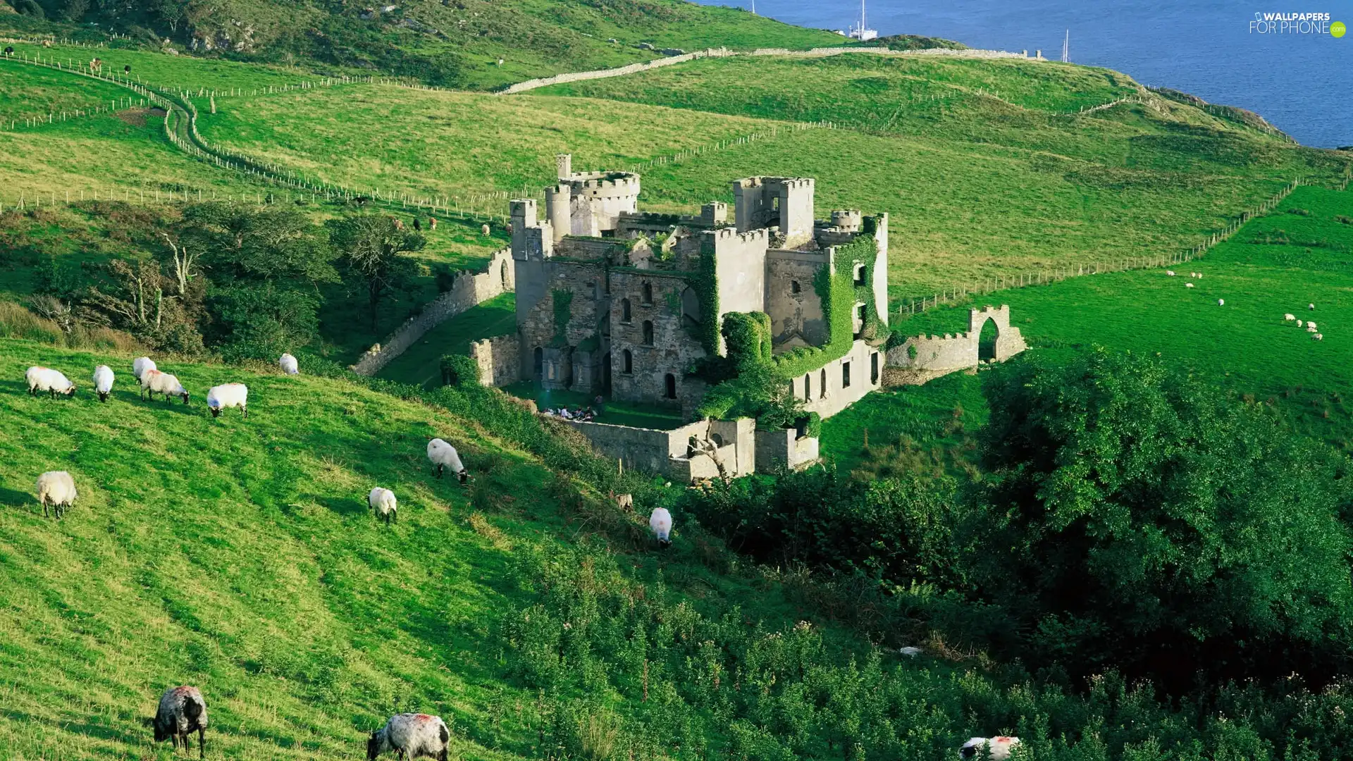 The Hills, Castle, green ones