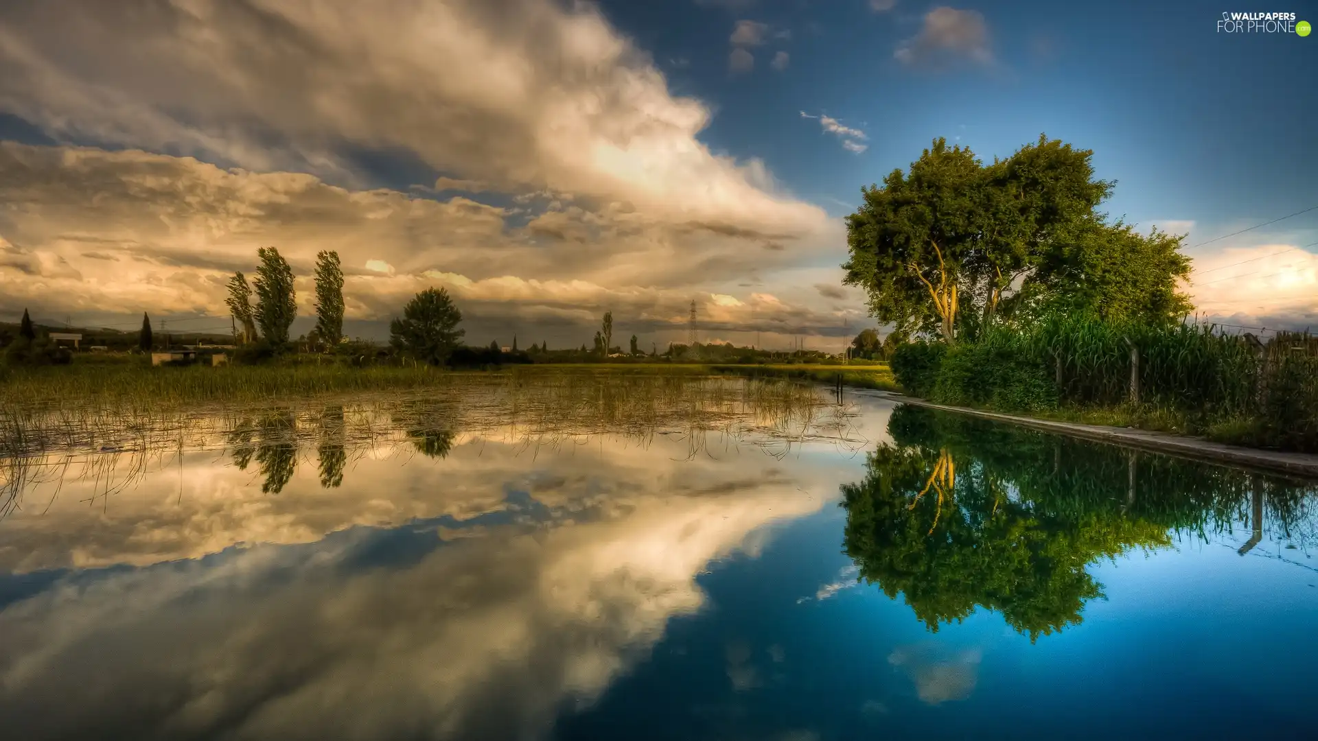 lake, green