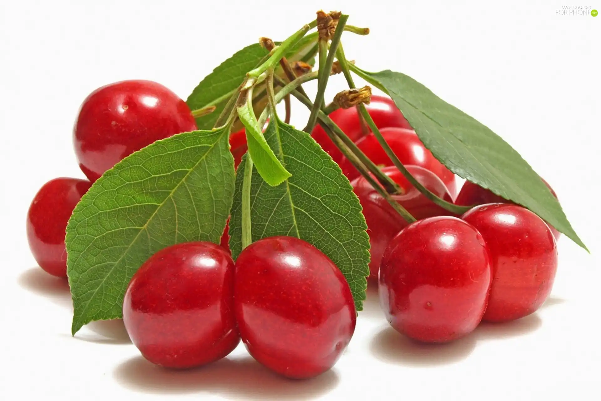 leaves, cherries, green ones