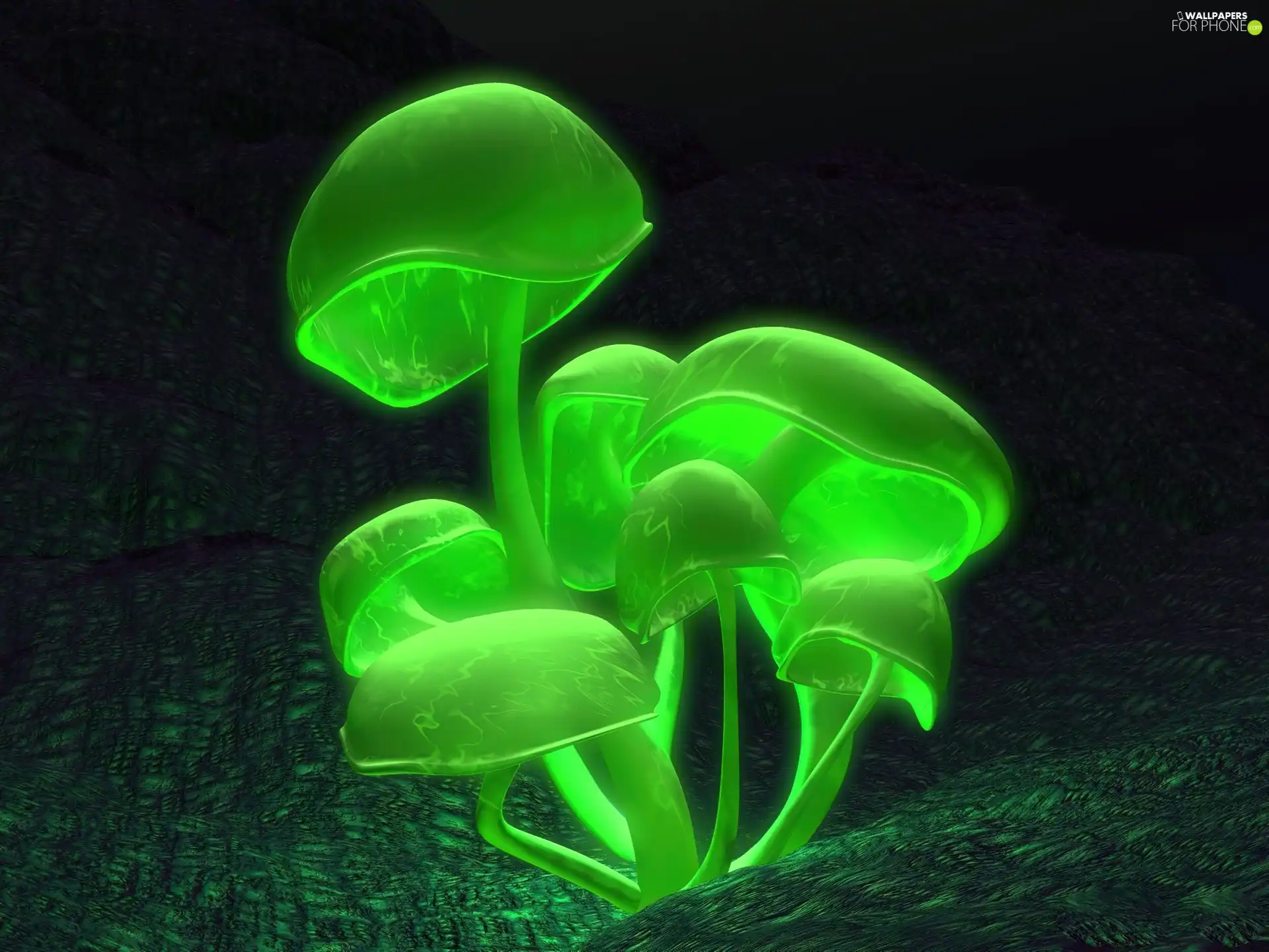 green ones, mushrooms