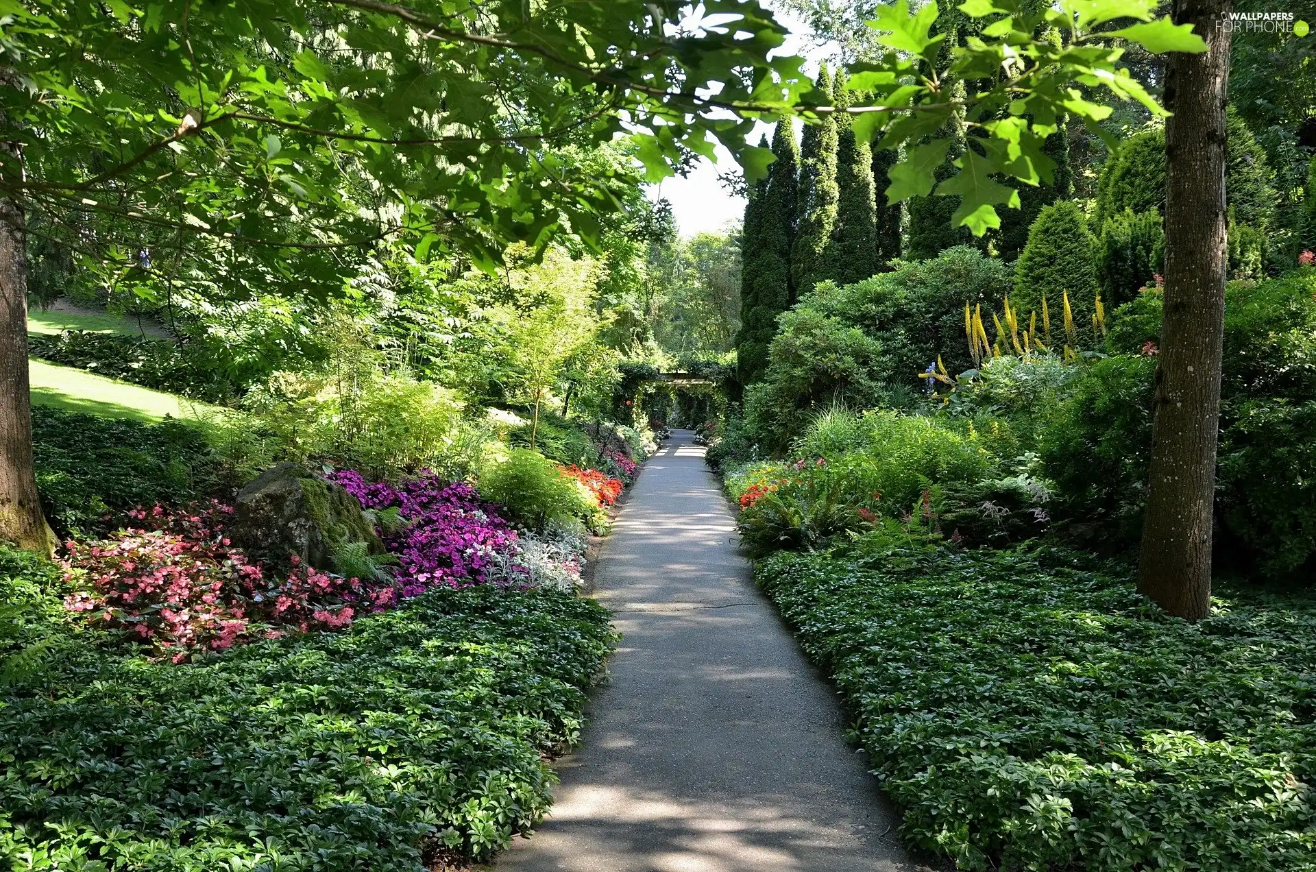 Park, Flowers, green, lane