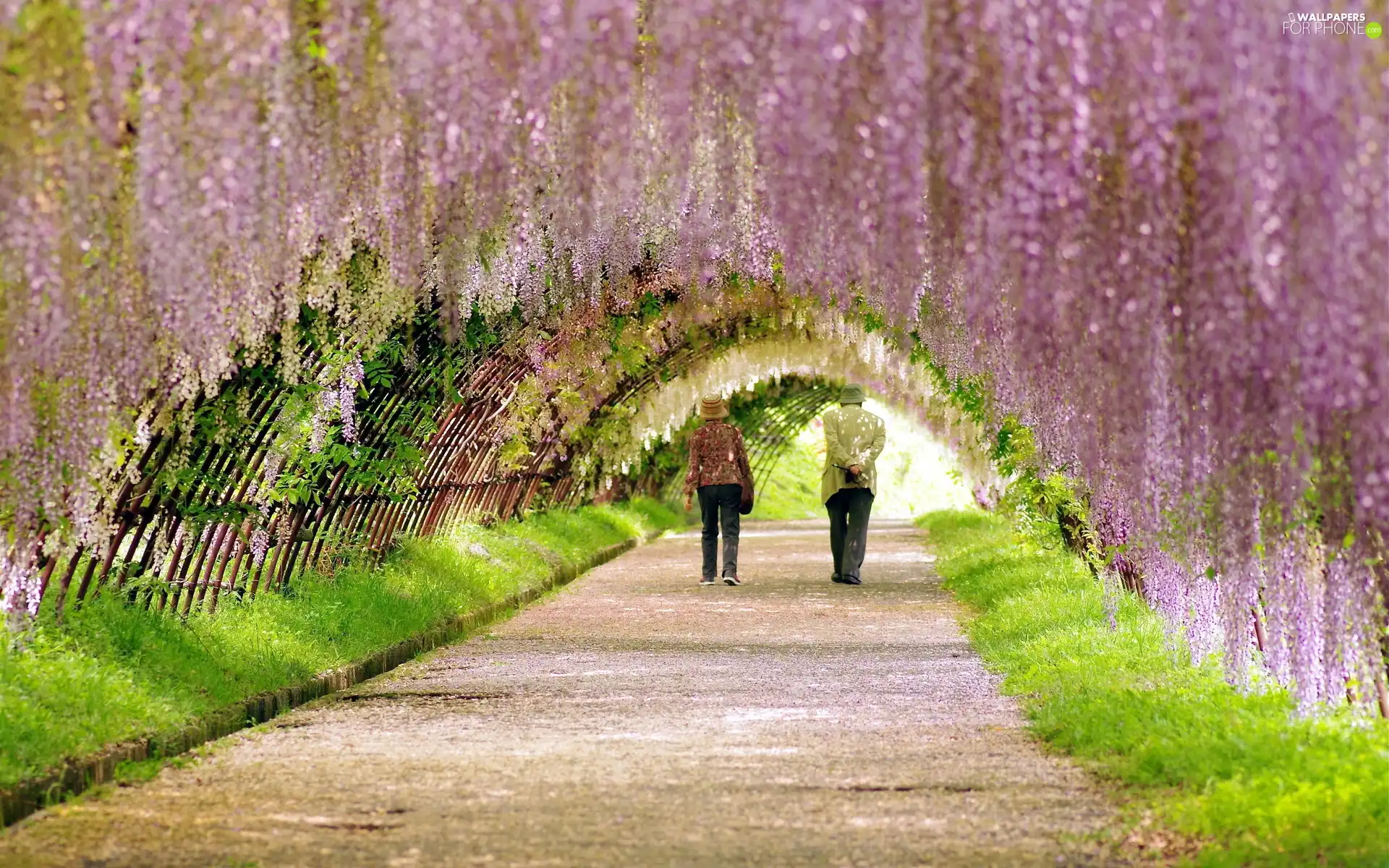 Park, people, green, two