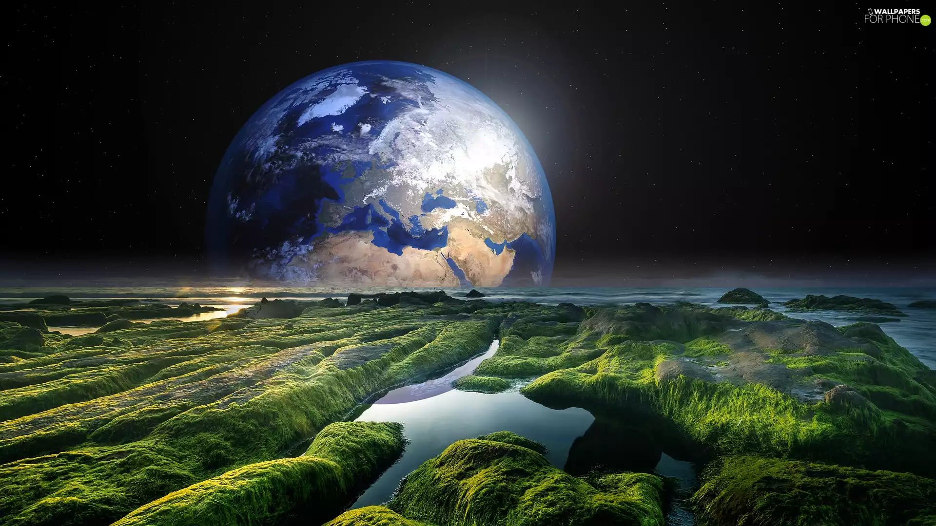 land, water, photomontage, rocks, VEGETATION, Planet, Universe, Green