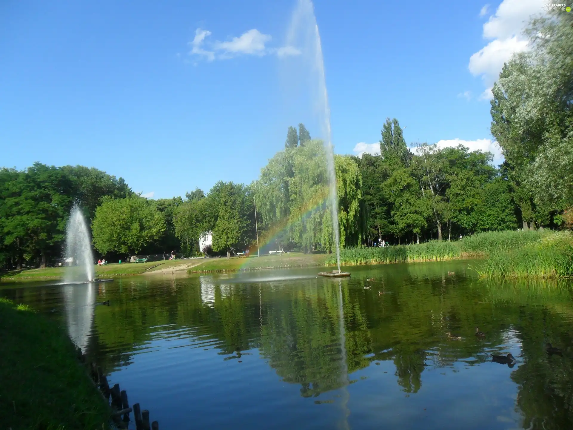 Park, fountain, green, Pond - car