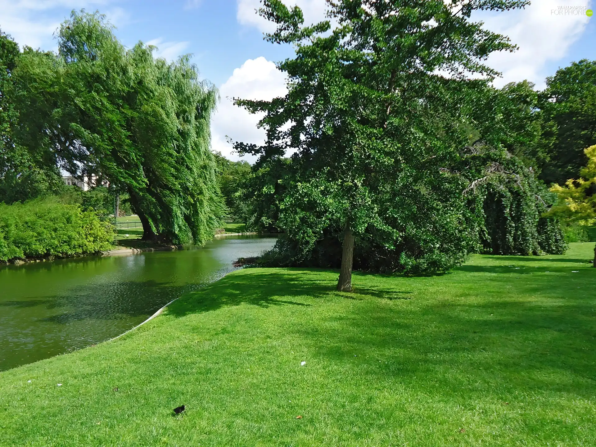 green, Park, River