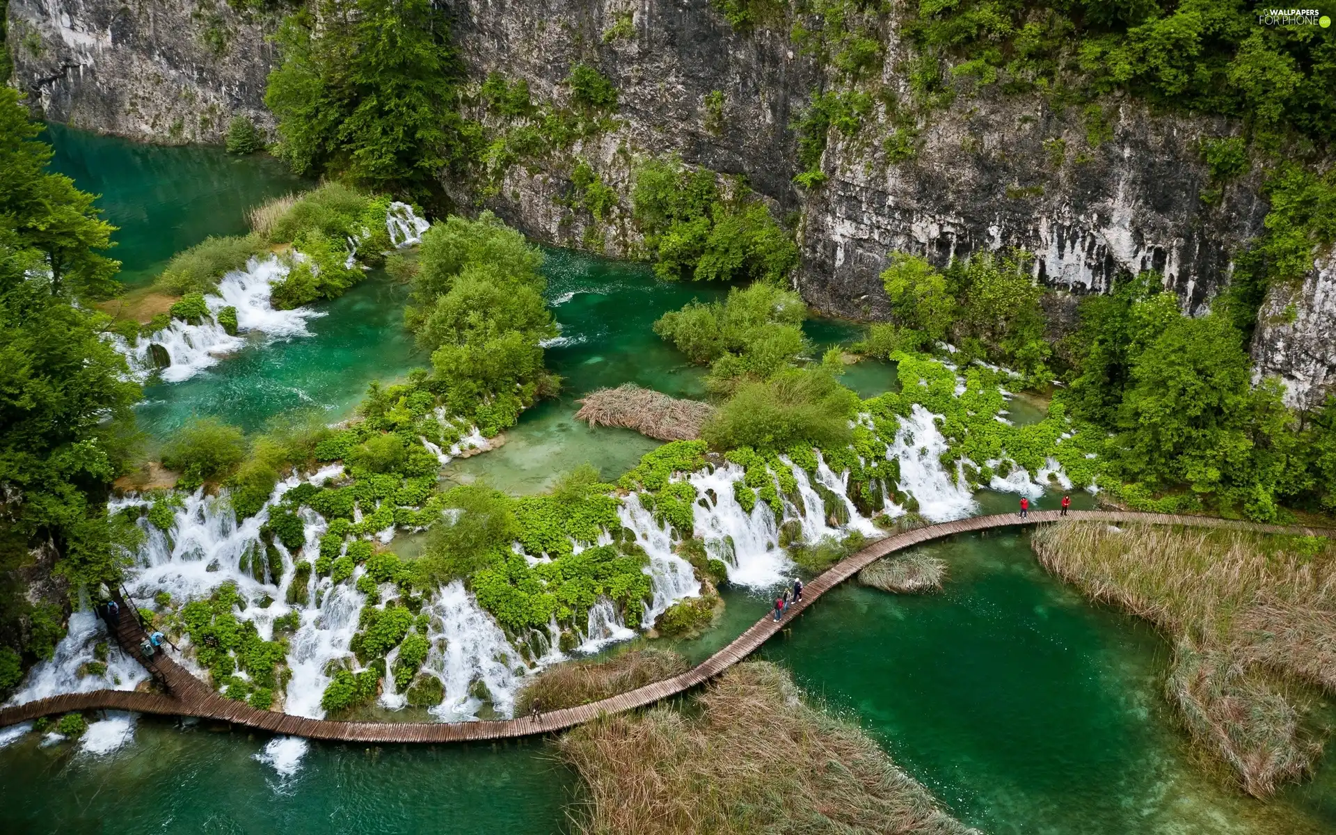 Rocks, water, green, bridges