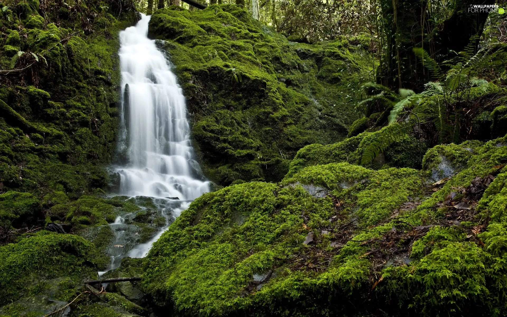 green, waterfall, Stones