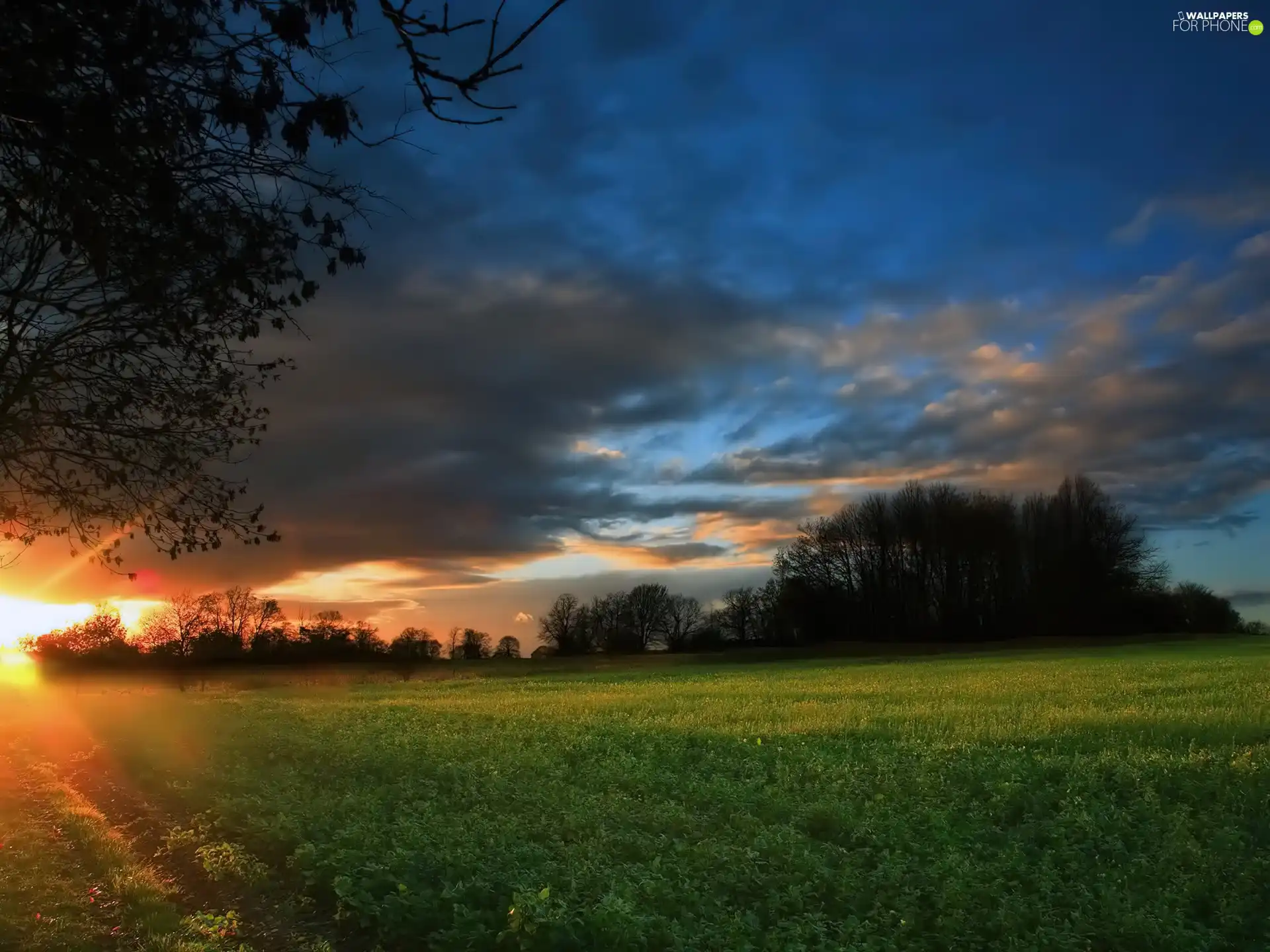 green, west, sun