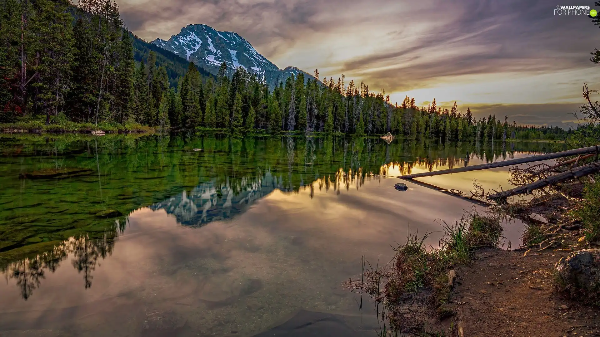 forest, lake, viewes, Green, Mountains, trees, reflection