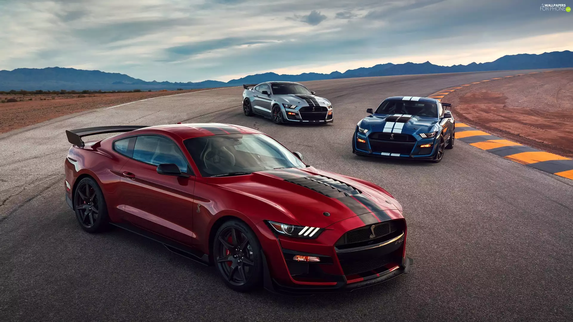 Ford Mustang Shelby GT500, Three, cars