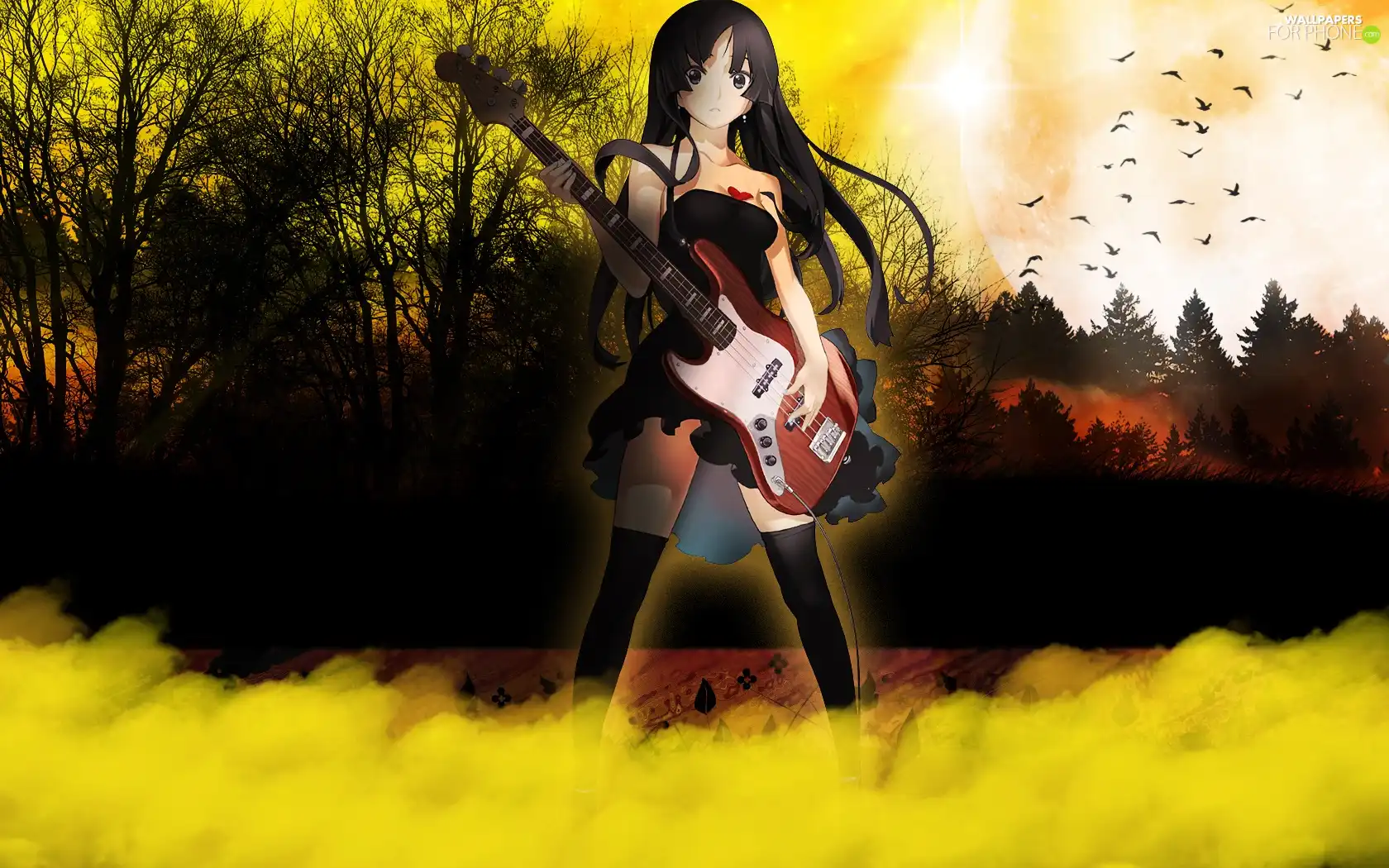 Women, guitarist