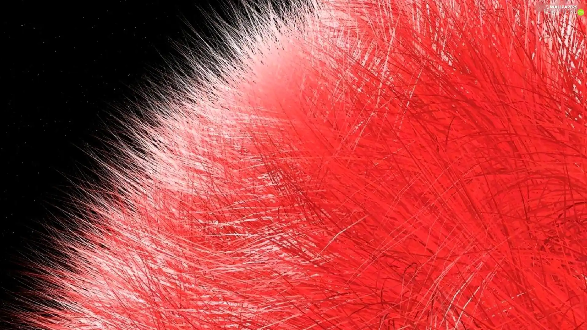 Orb, red hot, hairy