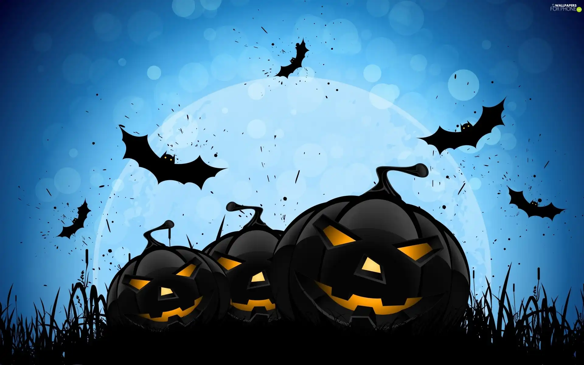 halloween, pumpkin, bats