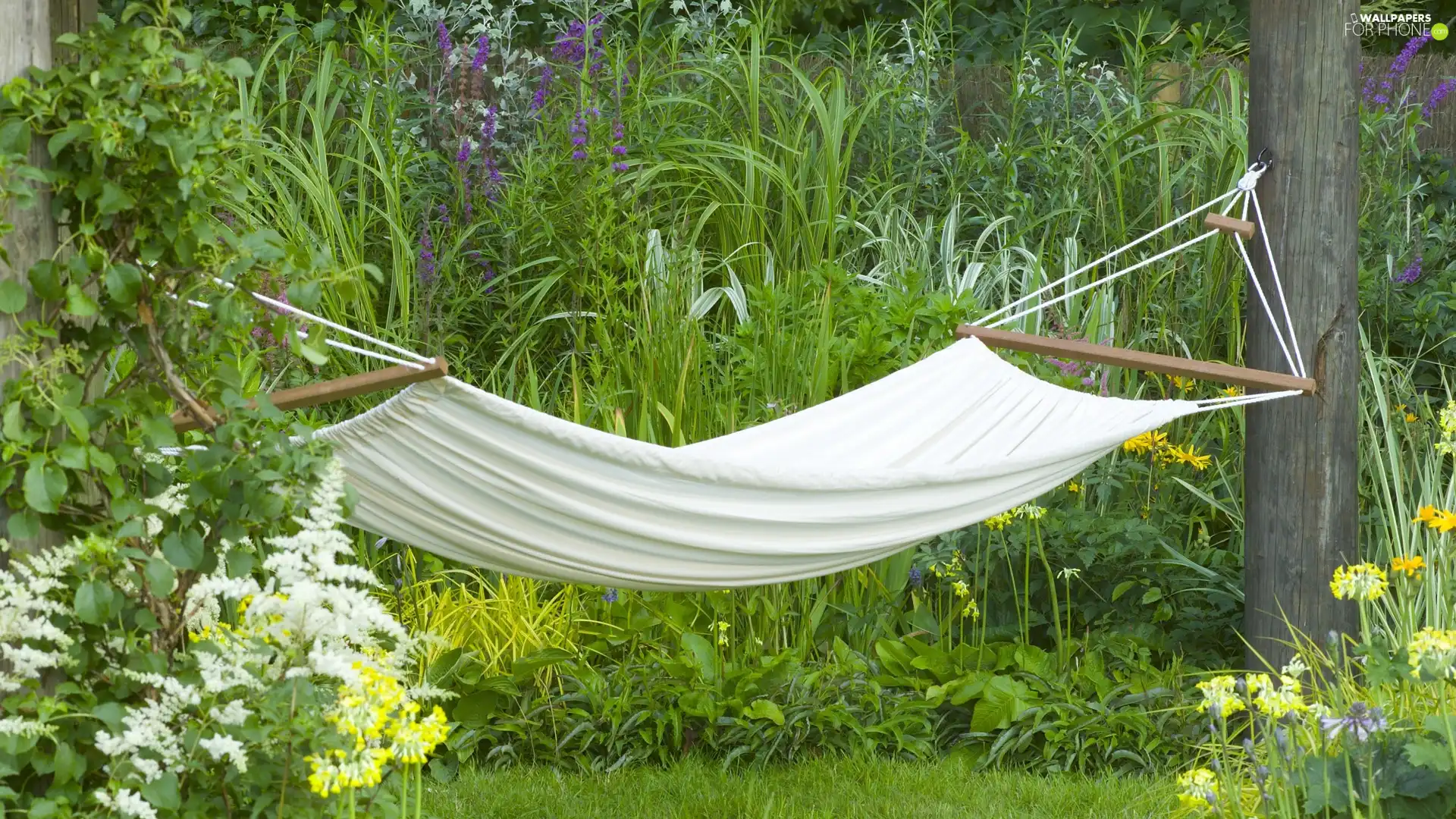 Hammock, summer, green