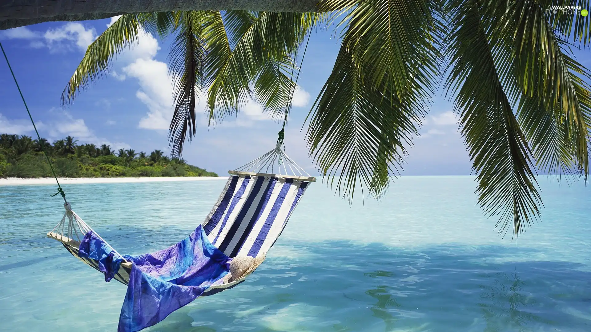 Hammock, sea, Palms