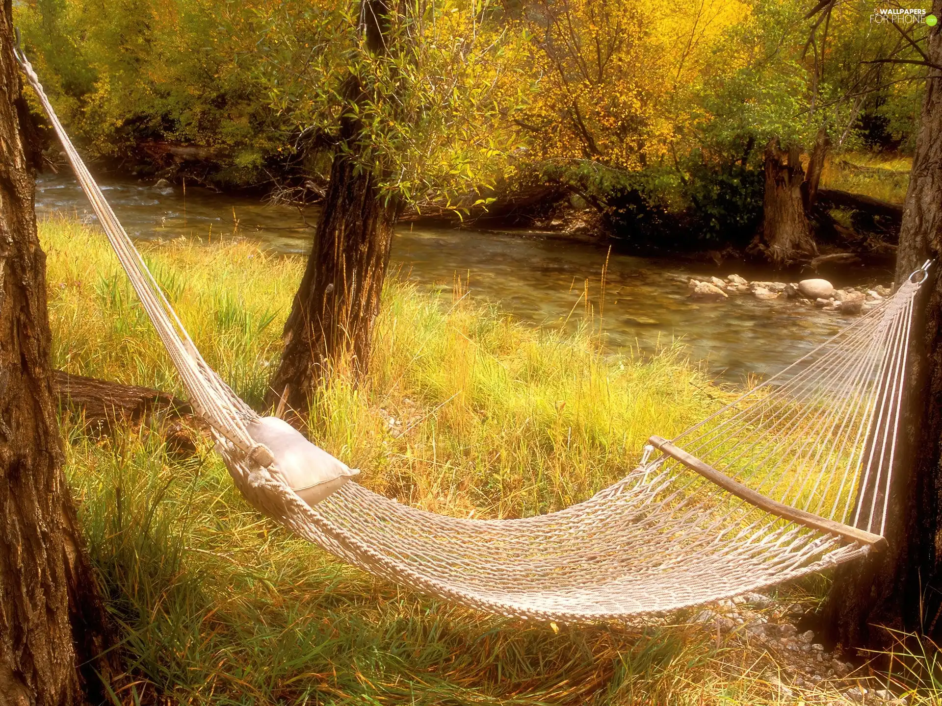 River, viewes, Hammock, trees