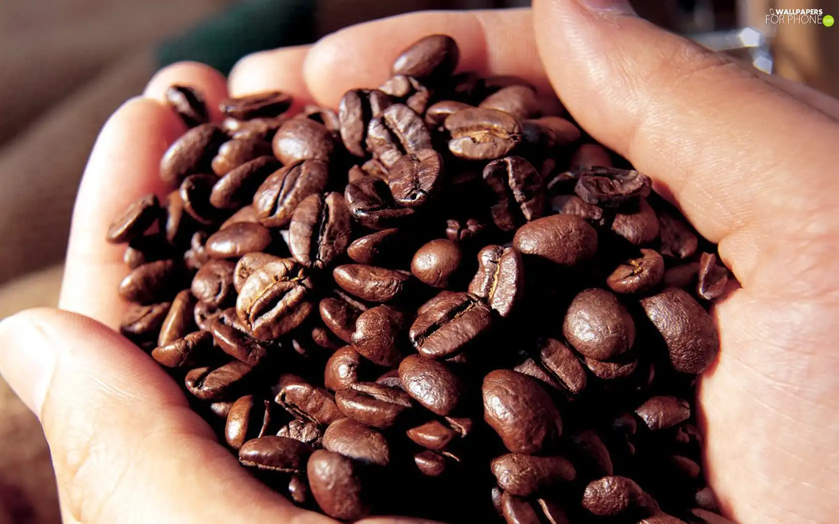 hands, grains, coffee