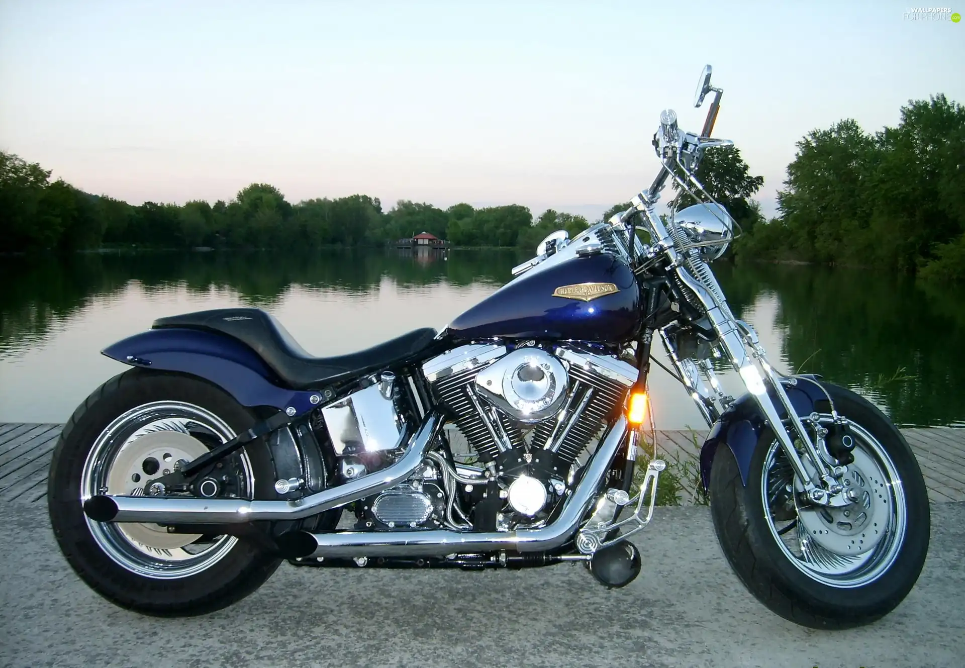 Motorbike, Harley-Davidson Springer