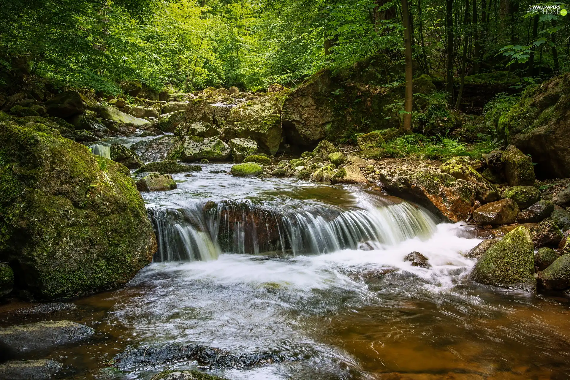 Harz National Park, Germany, forest, Stones, Ilse River, Saxony