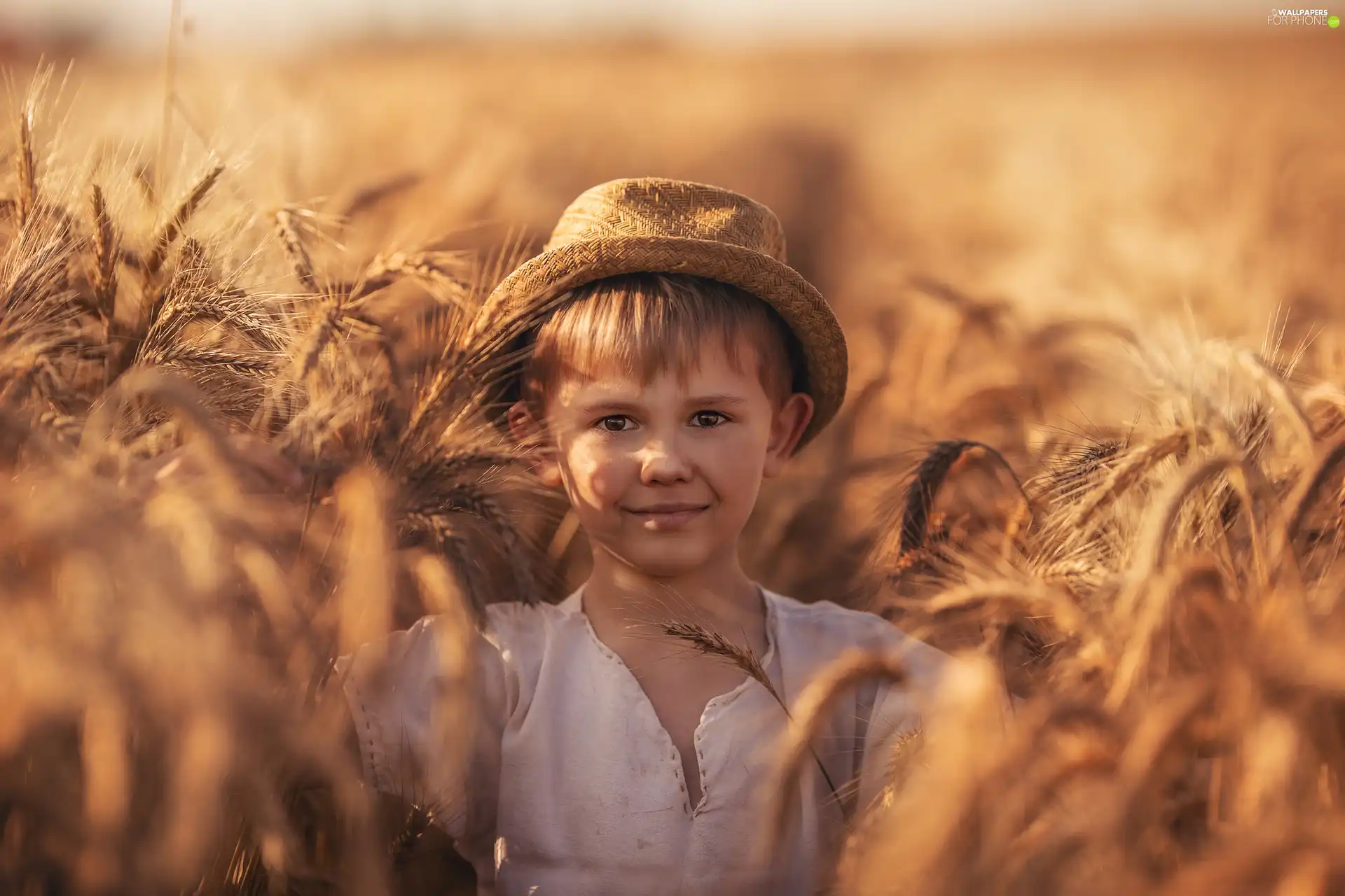 Hat, boy, corn