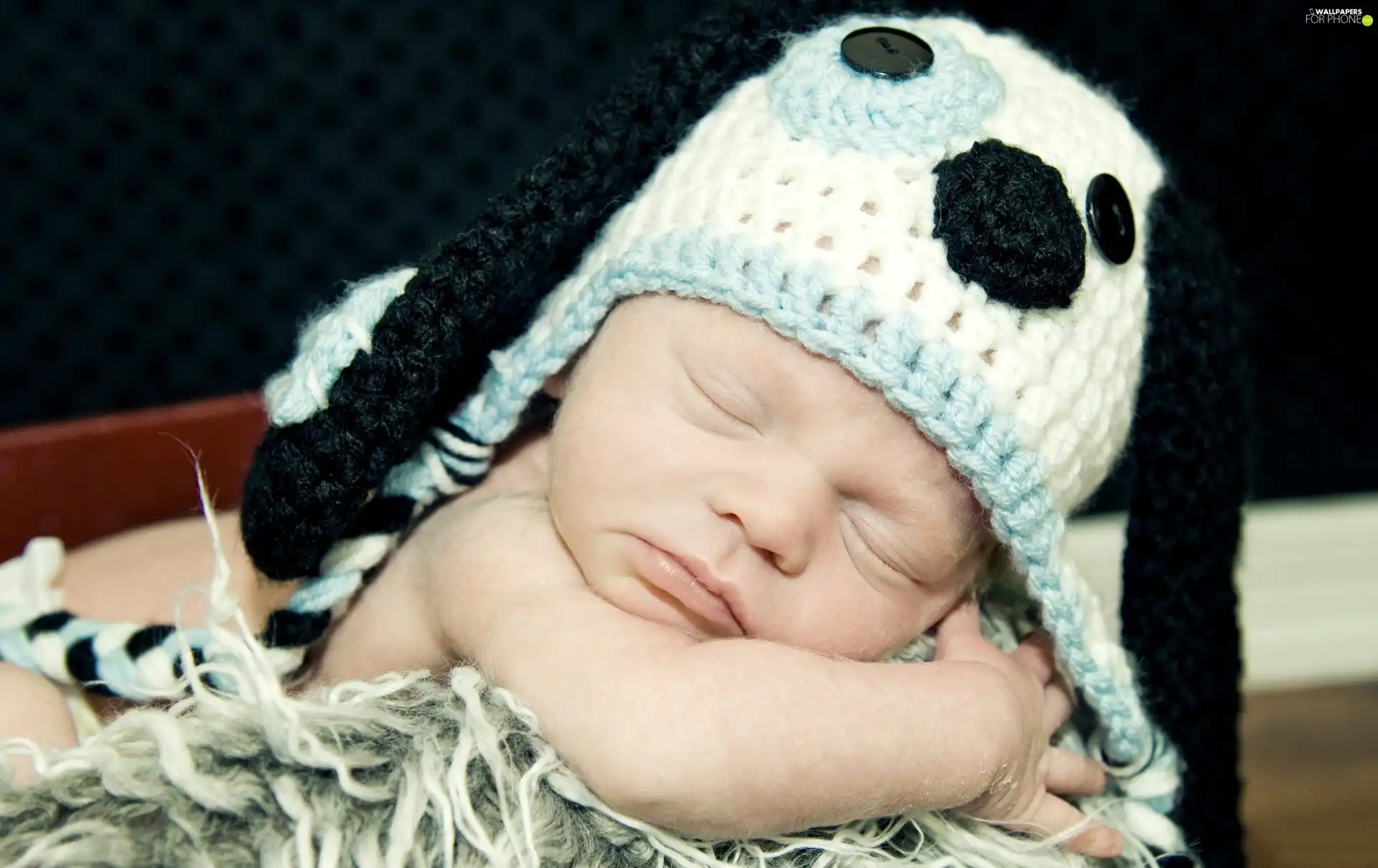 little doggies, Kid, Hat, Sleeping