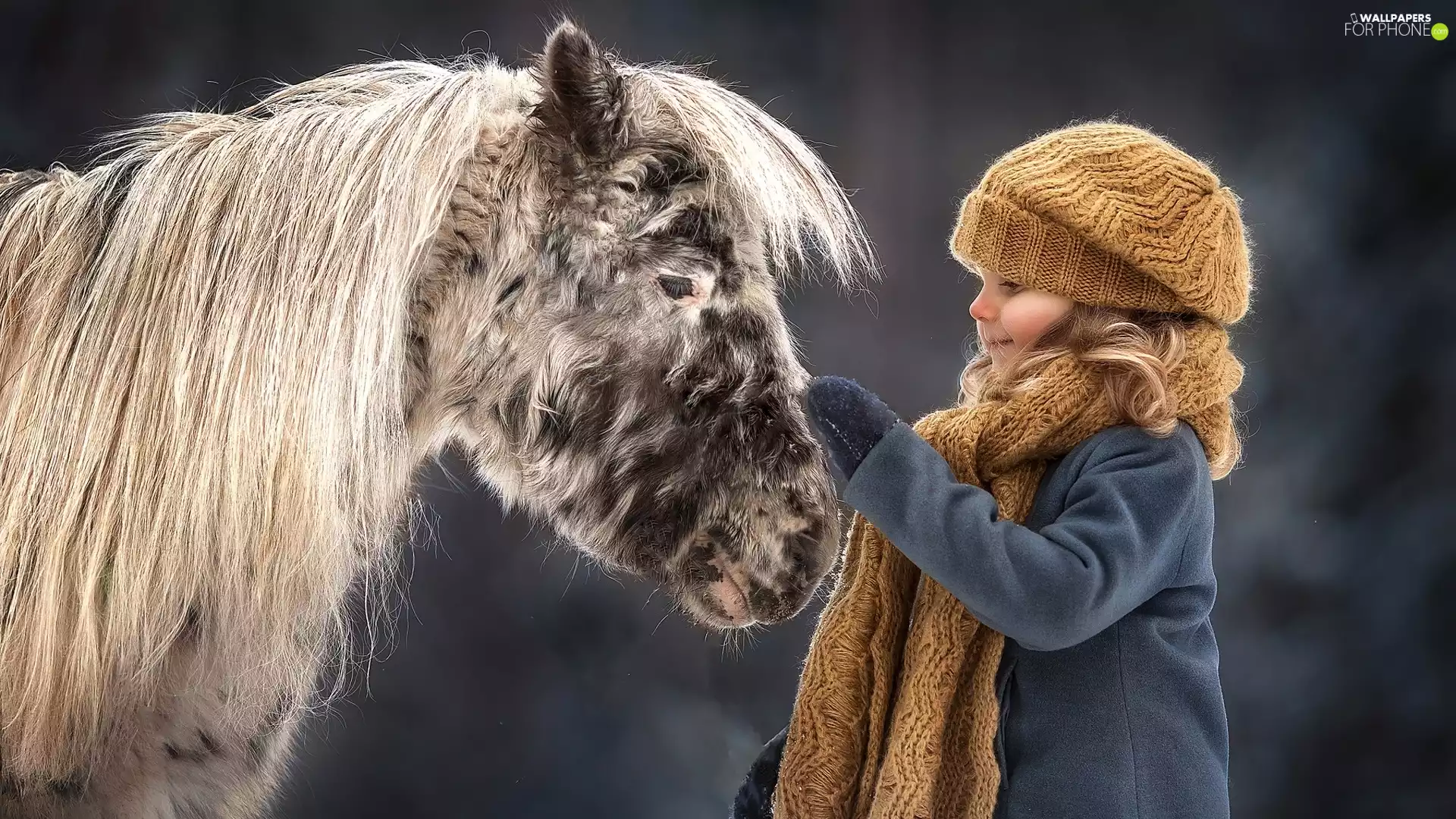 Horse, Shetland Pony, Hat, Scarf, girl