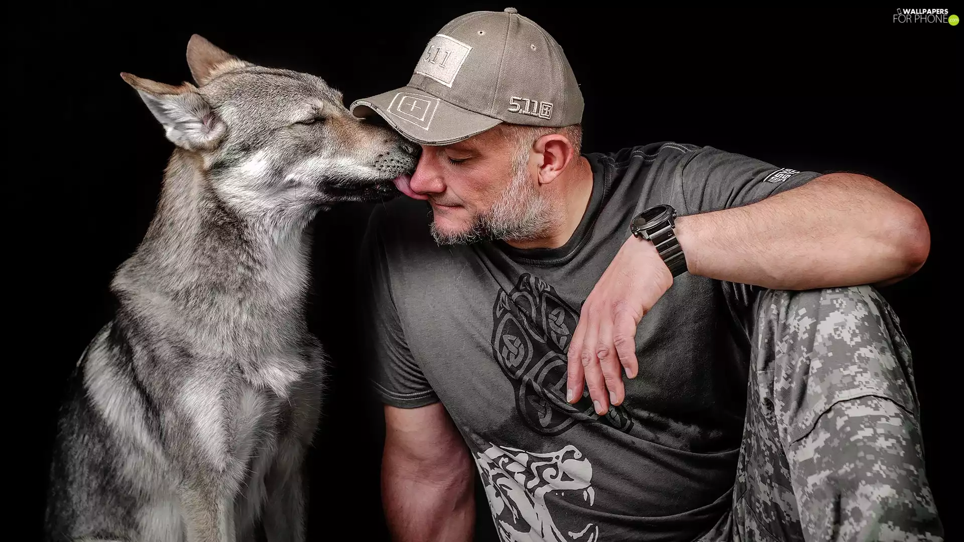 beard, a man, dog, Czechoslovakian Wolfdog, Watch, Hat