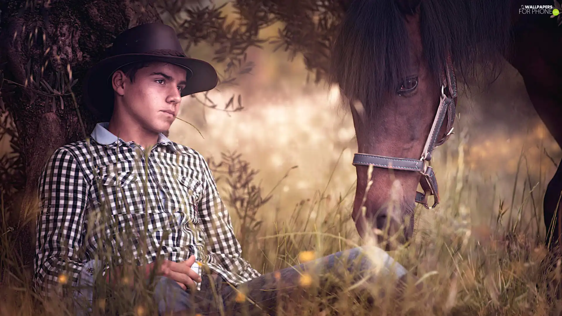 Horse, Meadow, boy, Hat, a man