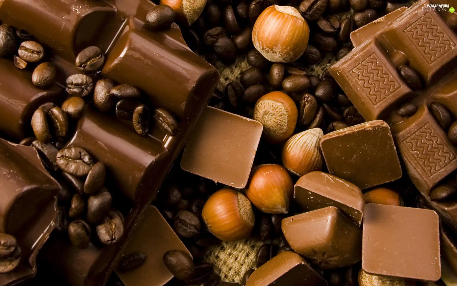 cuts, nuts, hazelnuts, chocolate