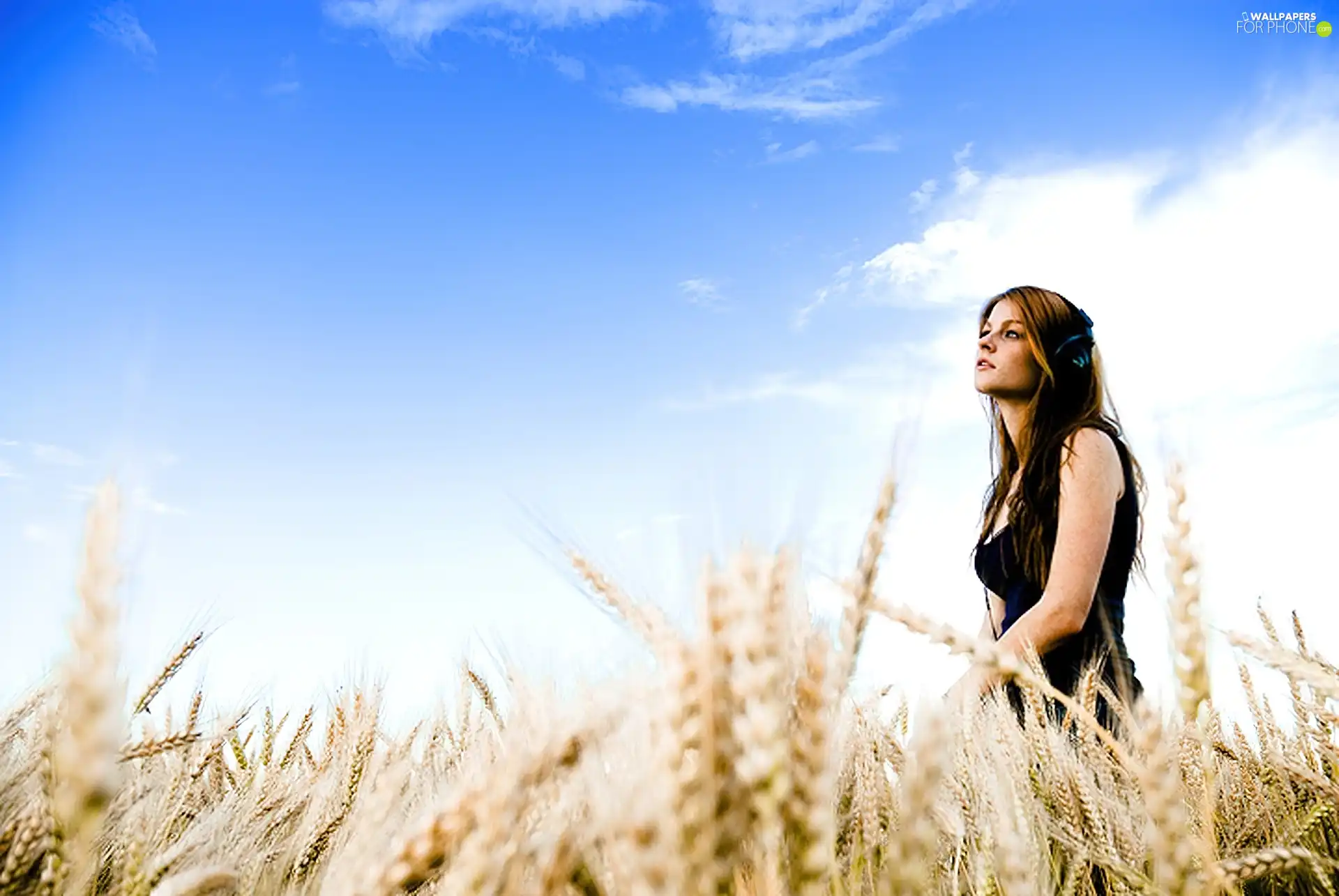 Teenager, corn, HEADPHONES, Field