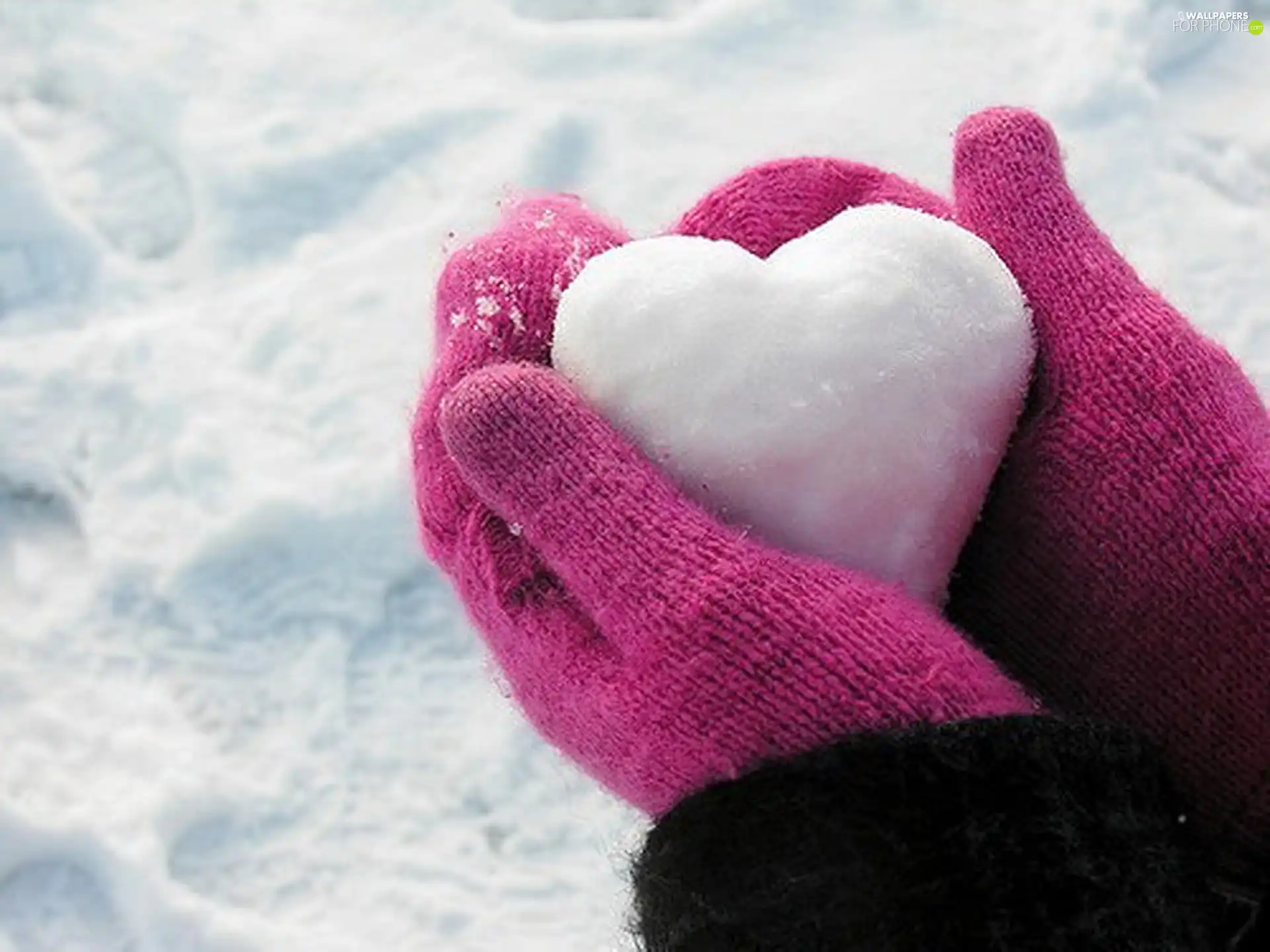 Heart teddybear, snow