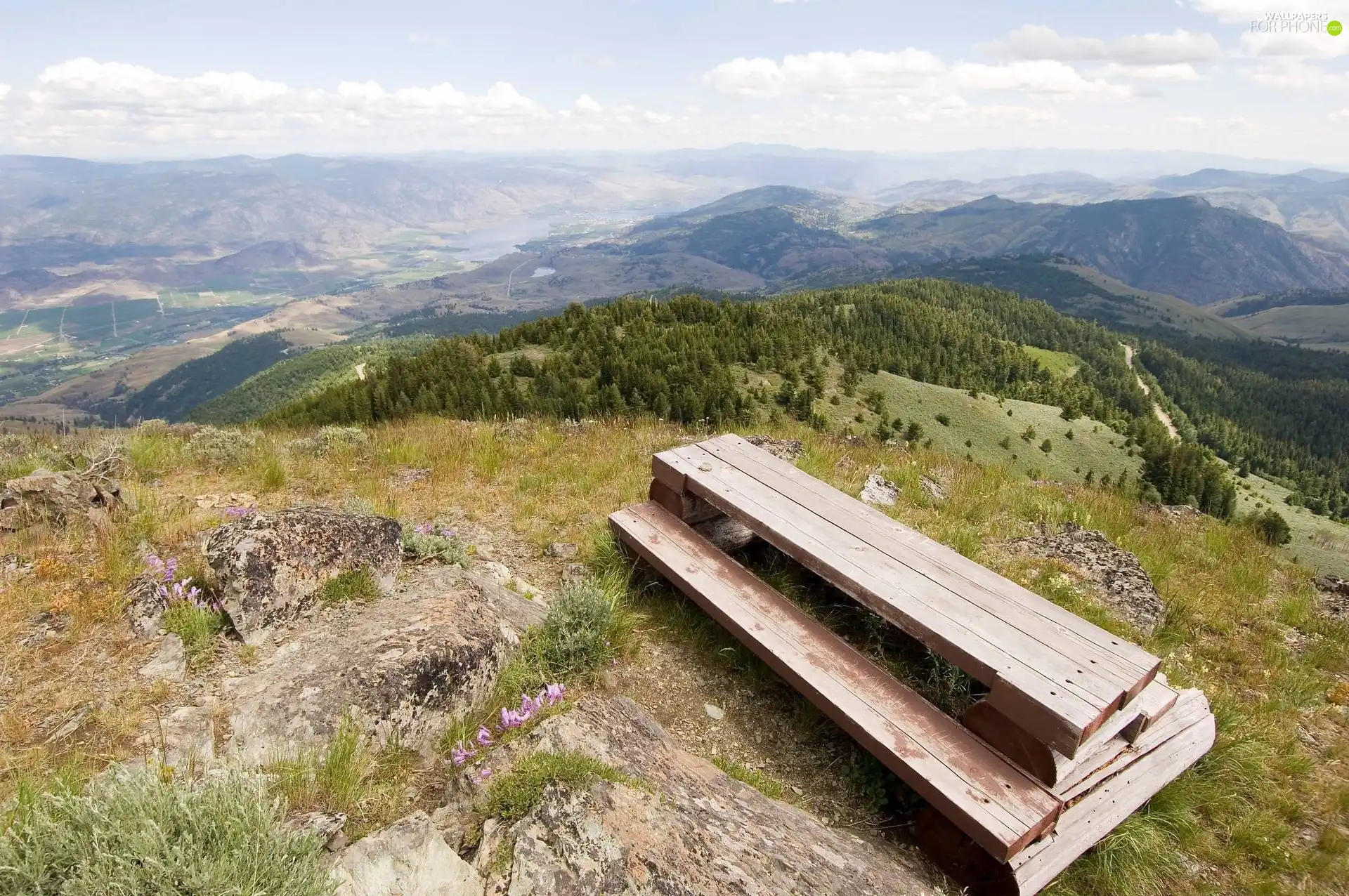 Mountains, Bench, height, forest