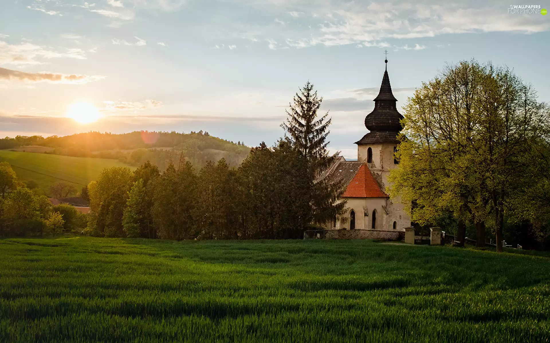 trees, Sunrise, grass, Hill, viewes, Church