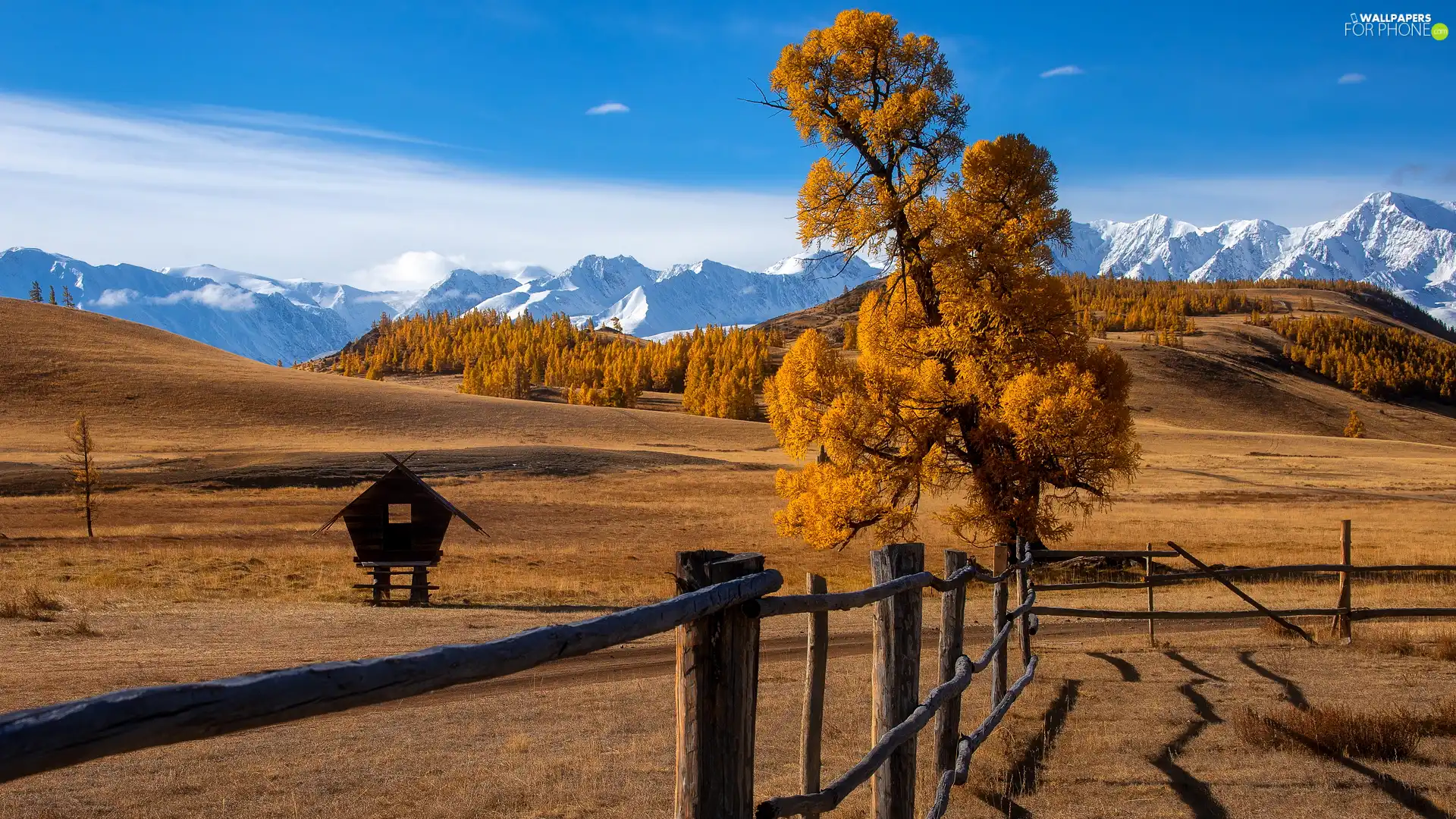 trees, Mountains, Fance, Hill, Snowy, fence, autumn