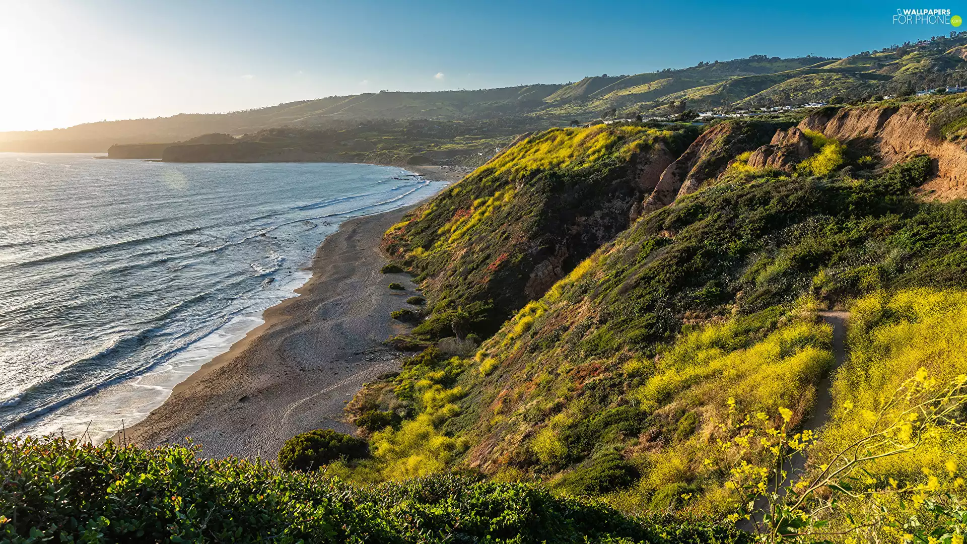green ones, Coast, Bush, sea, Plants, The Hills