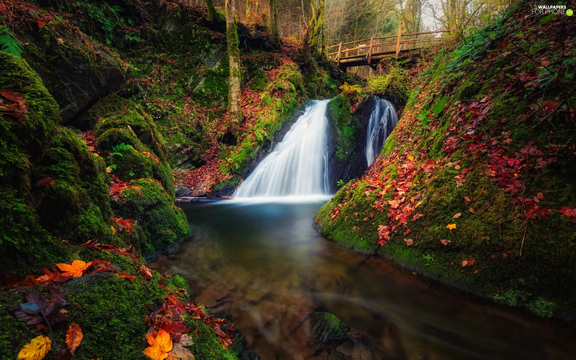 waterfall, bridge, Leaf, hills, forest, River, autumn