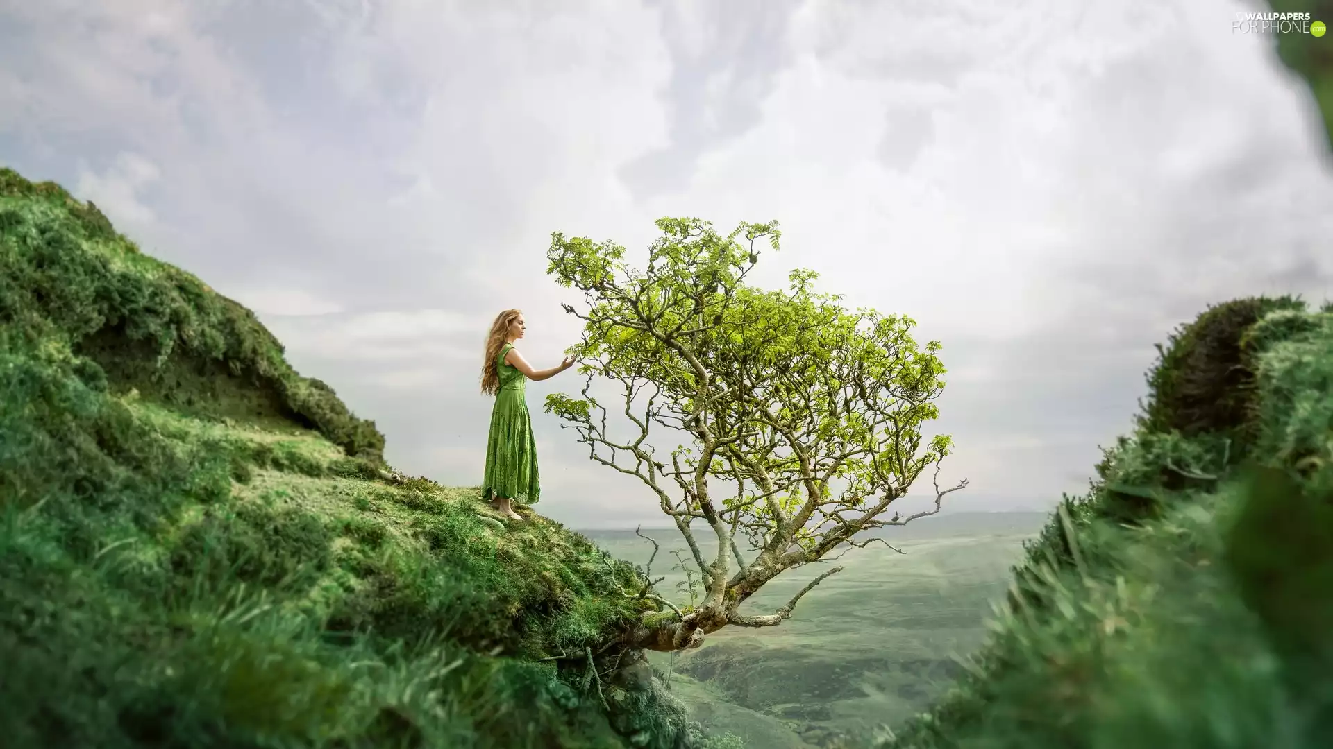 The Hills, VEGETATION, Women, trees