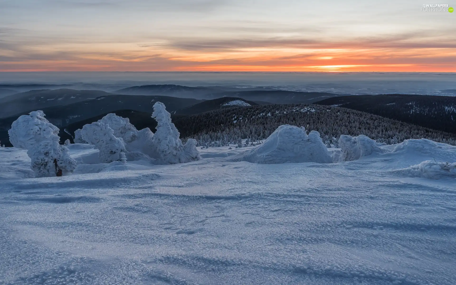 Snowy, winter, viewes, Great Sunsets, trees, The Hills