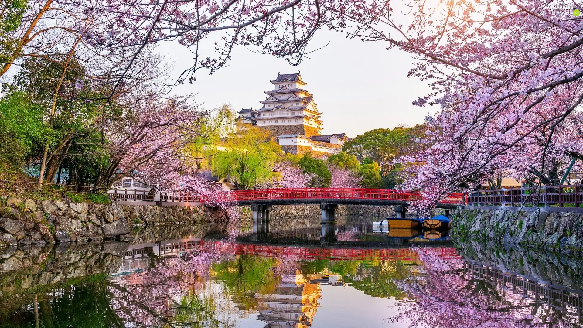 Flourished, Spring, trees, branch pics, canal, Japan, Himeji, White Heron Castle, Himeji Castle, bridge, viewes