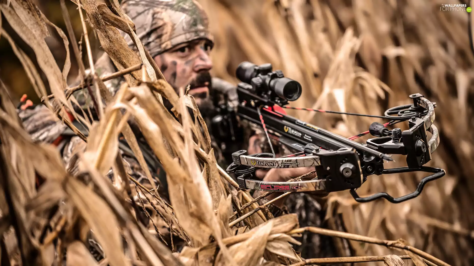 scrub, camouflage, arbalest, hind-sight, soldier