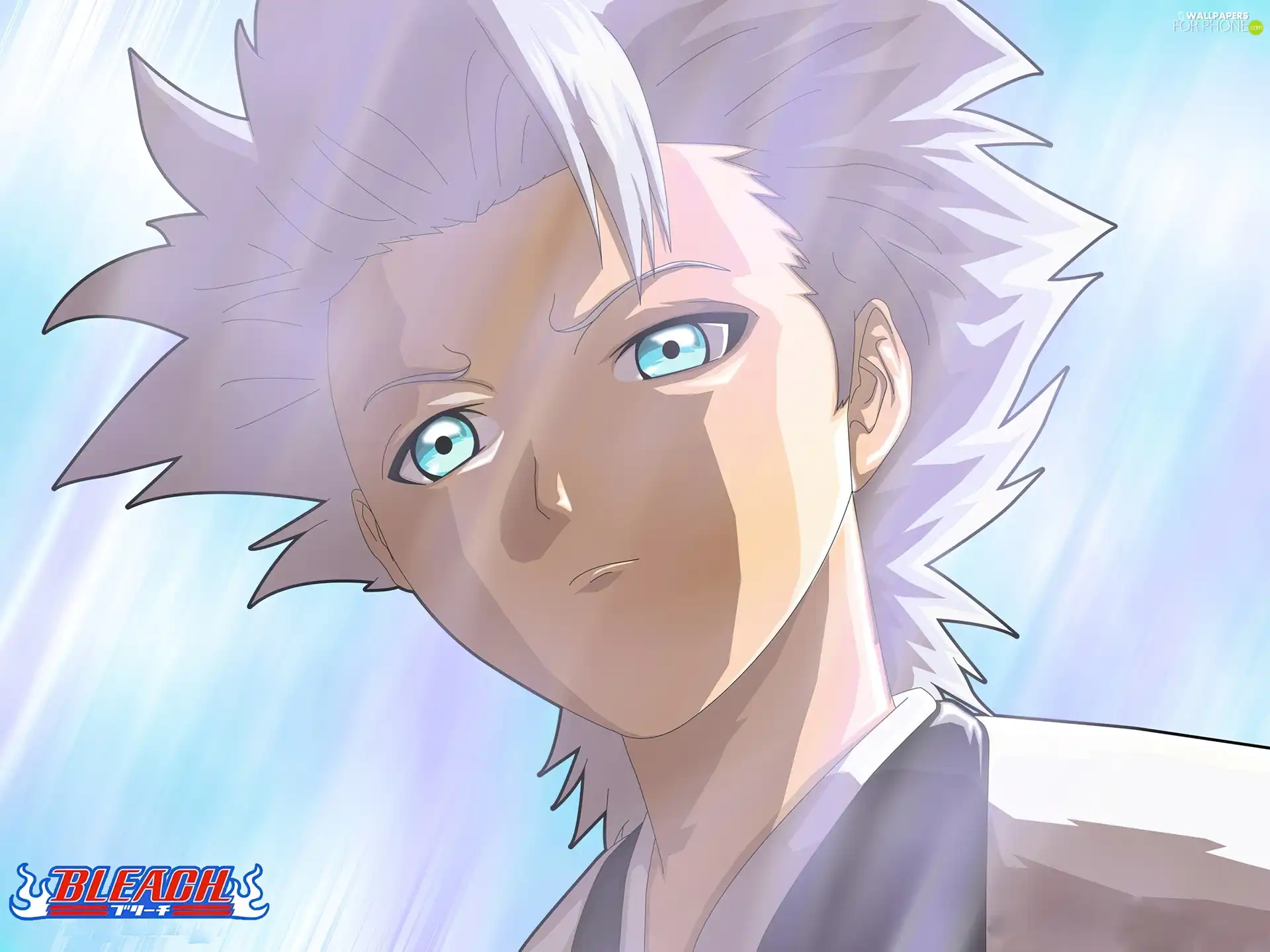 captain, Toshiro Hitsugaya